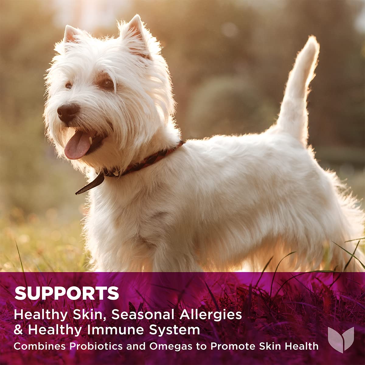 Foto 4 pulgar | Suplemento Hyland's Naturals Pro Skin Health Para Perros, 90 Cápsulas Masticables Blandas - Venta Internacional.