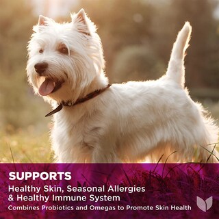 Foto 3 | Suplemento Hyland's Naturals Pro Skin Health Para Perros, 90 Cápsulas Masticables Blandas - Venta Internacional.