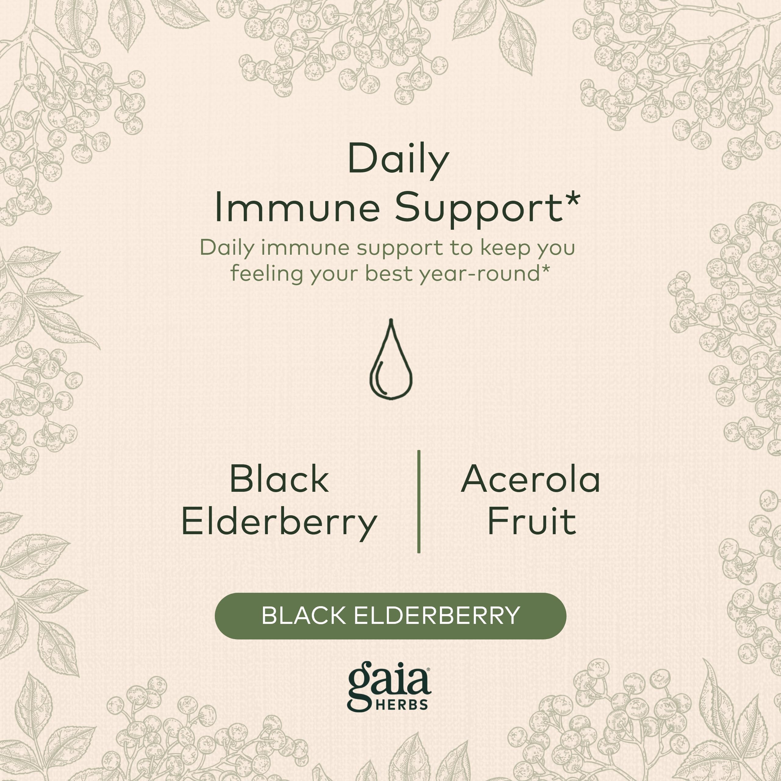 Foto 4 pulgar | Sirope Gaia Herbs De Saúco Negro 160 Ml - Venta Internacional.