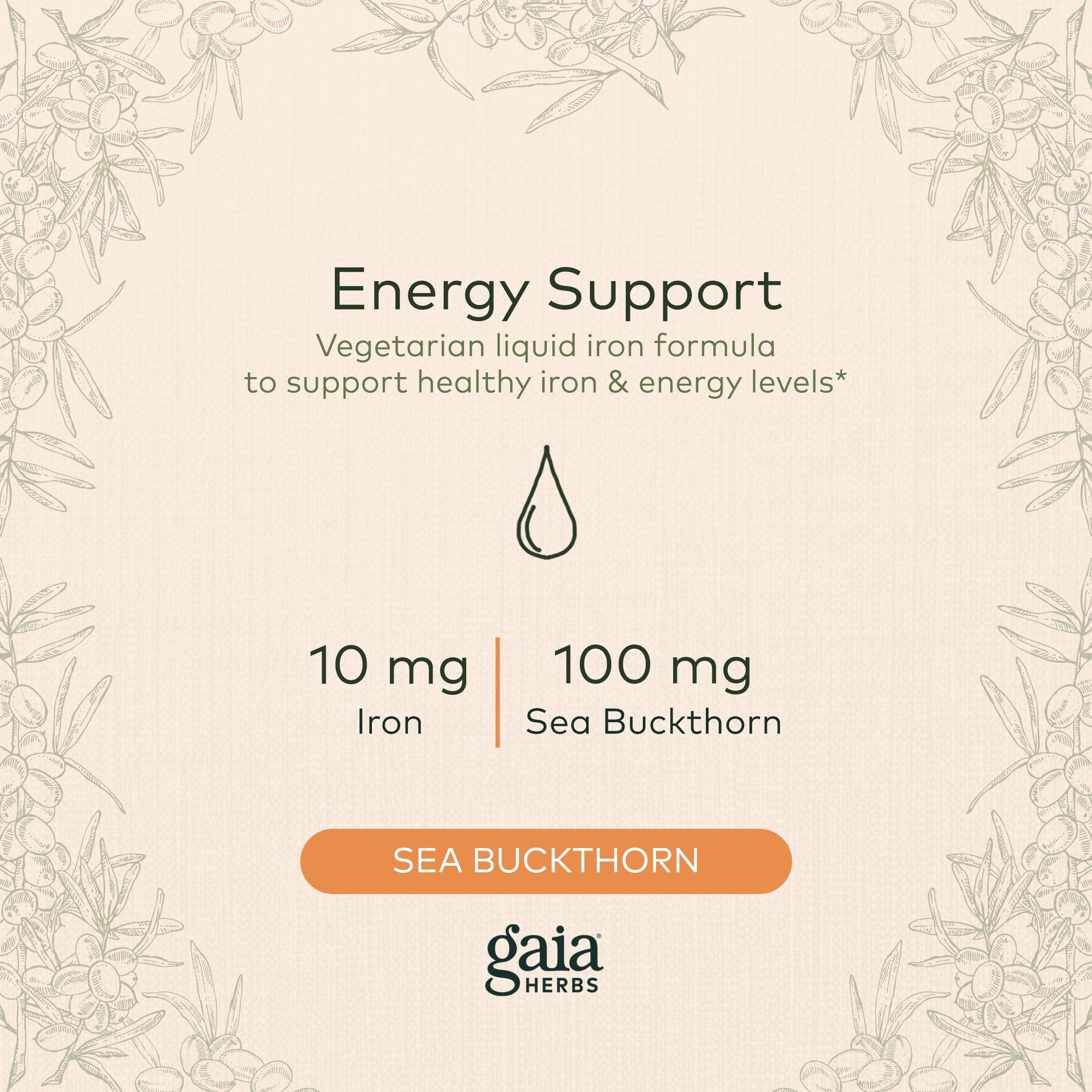 Foto 4 pulgar | Suplemento Gaia Herbs Plant Force Liquid Iron 250 Ml - Venta Internacional.