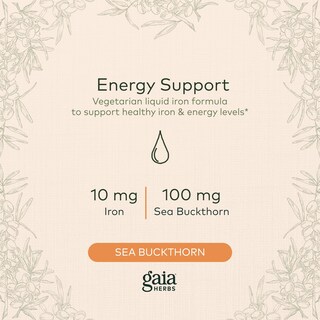 Foto 3 | Suplemento Gaia Herbs Plant Force Liquid Iron 250 Ml - Venta Internacional.