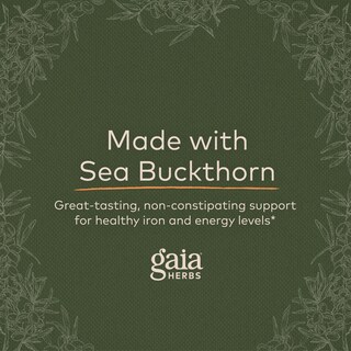 Foto 6 | Suplemento Gaia Herbs Plant Force Liquid Iron 250 Ml - Venta Internacional.