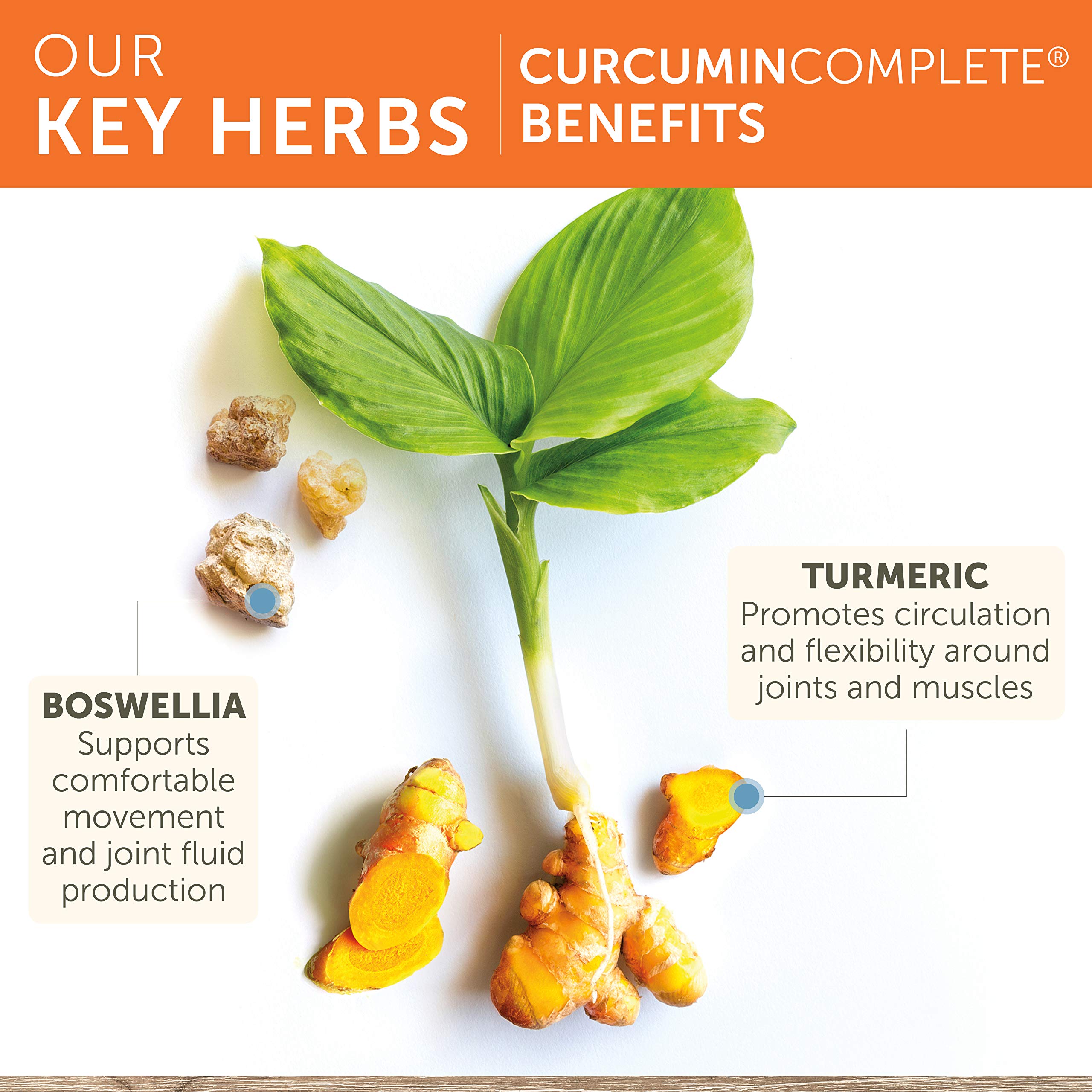 Foto 5 pulgar | Suplemento Himalaya Curcumin Complete 372 Mg 60 Cápsulas - Venta Internacional.