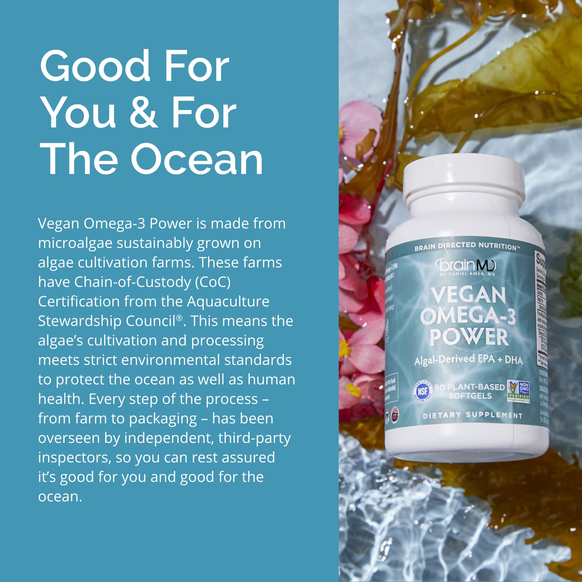 Foto 7 pulgar | Suplemento Brainmd Dr Amen Vegan Omega-3 Power 60 Cápsulas Blandas - Venta Internacional.