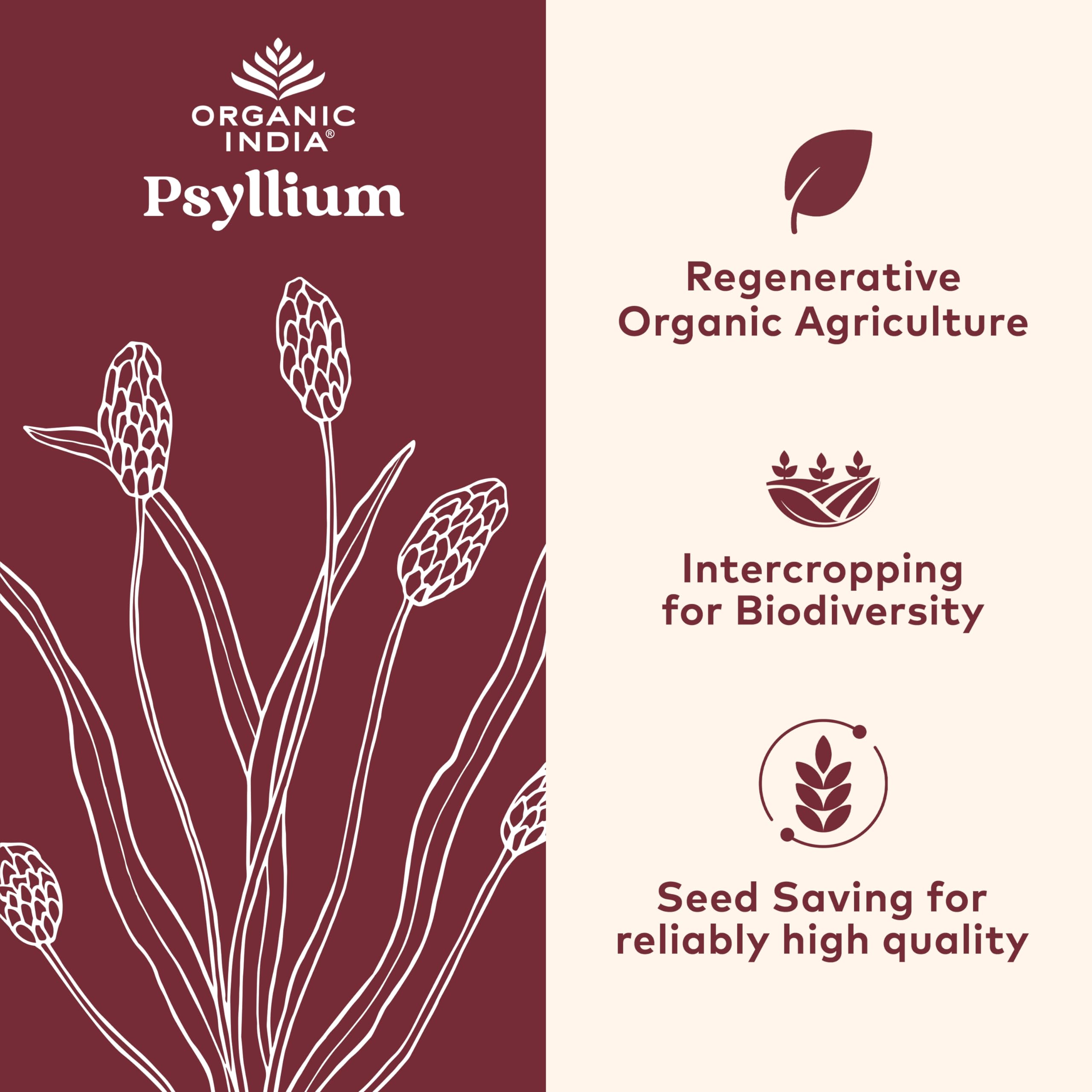 Foto 4 pulgar | Suplemento De Fibra Organic India, Cápsulas De Cáscara De Psyllium, 180 Unidades - Venta Internacional.