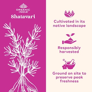Foto 4 | Suplemento Organic India Shatavari En Cápsulas 180 Veganas - Venta Internacional.