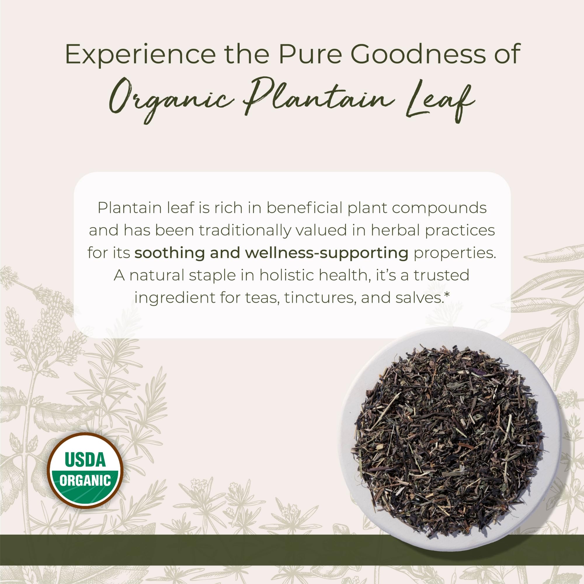Foto 3 pulgar | Té de Hierbas Starwest Botanicals Orgánico 454 G - Venta Internacional