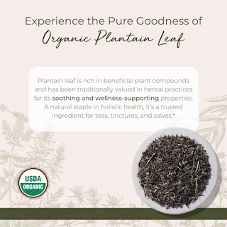 Foto 2 | Té de Hierbas Starwest Botanicals Orgánico 454 G - Venta Internacional