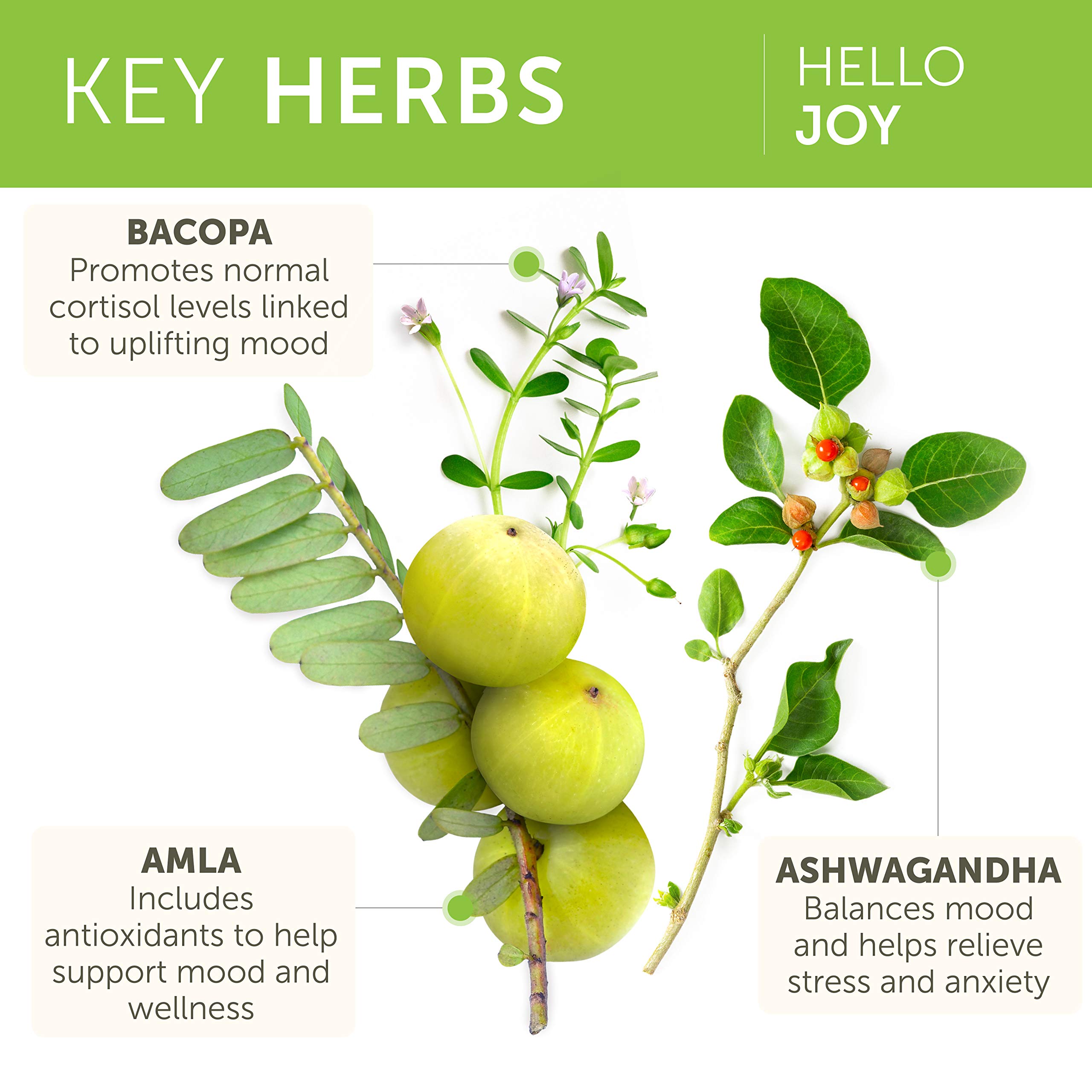 Foto 4 | Suplemento Himalaya Hello Joy Herbal 60 Cápsulas Veganas - Venta Internacional