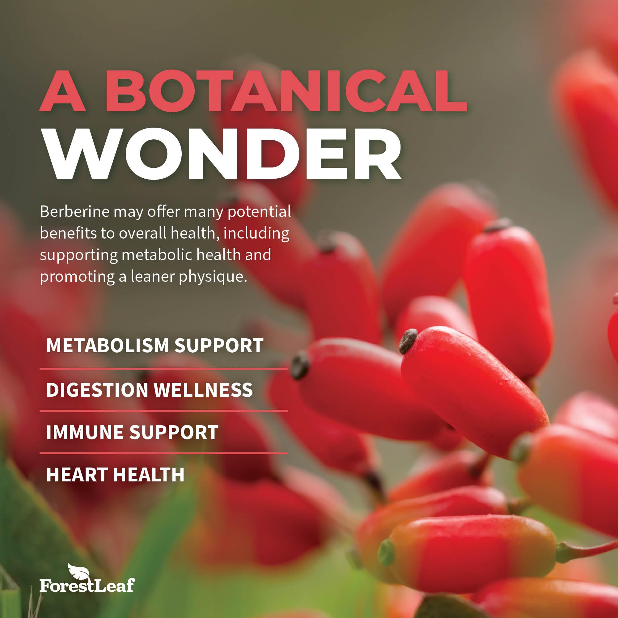 Foto 7 pulgar | Suplemento Forestleaf Advanced Dual Berberine Hcl 1300 Mg - Venta Internacional