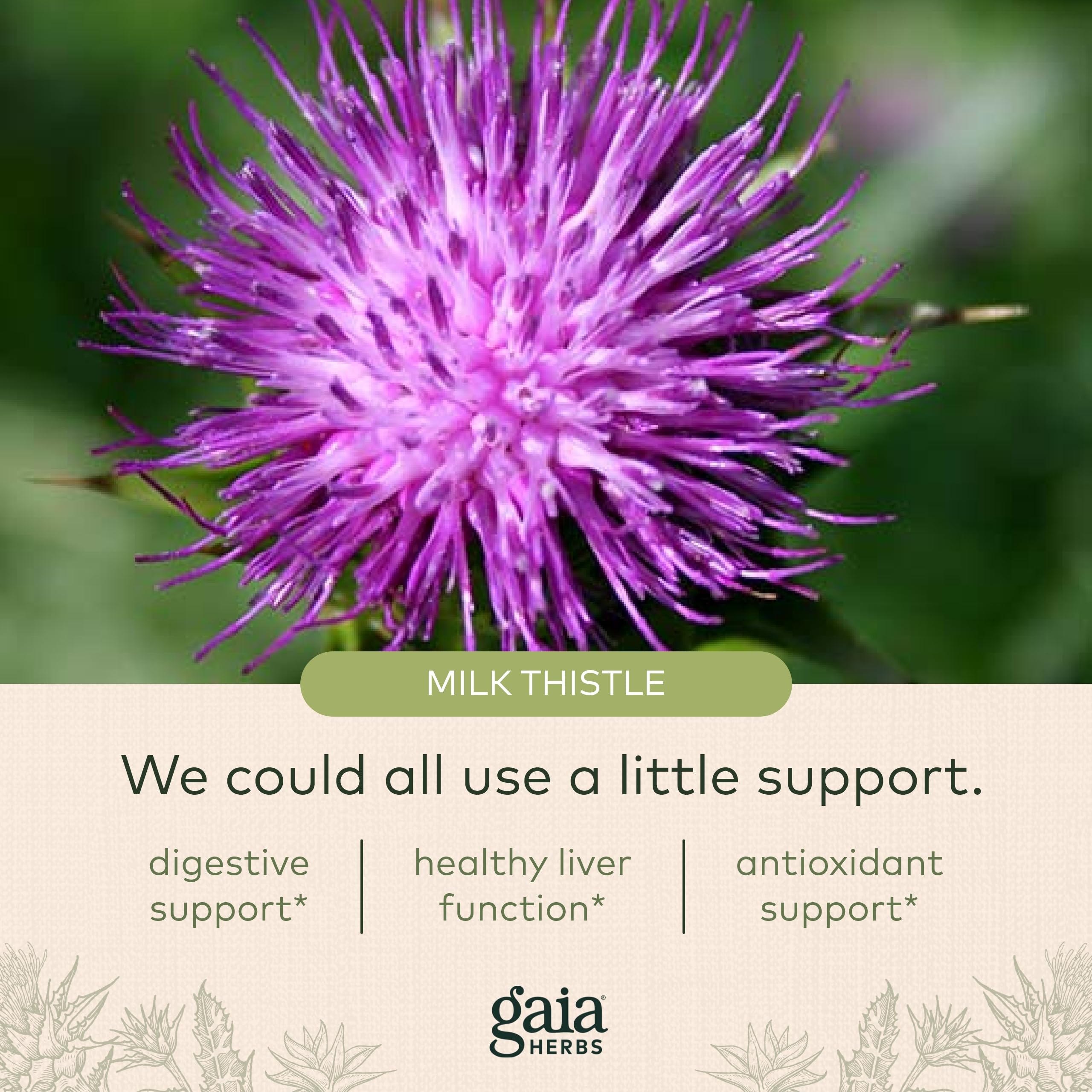 Foto 5 | Suplemento Gaia Herbs Milk Thistle Liver 120 Cápsulas Veganas - Venta Internacional.