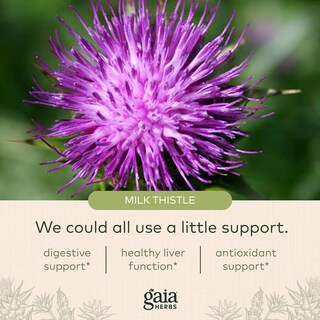 Foto 5 | Suplemento Gaia Herbs Milk Thistle Liver 120 Cápsulas Veganas - Venta Internacional.