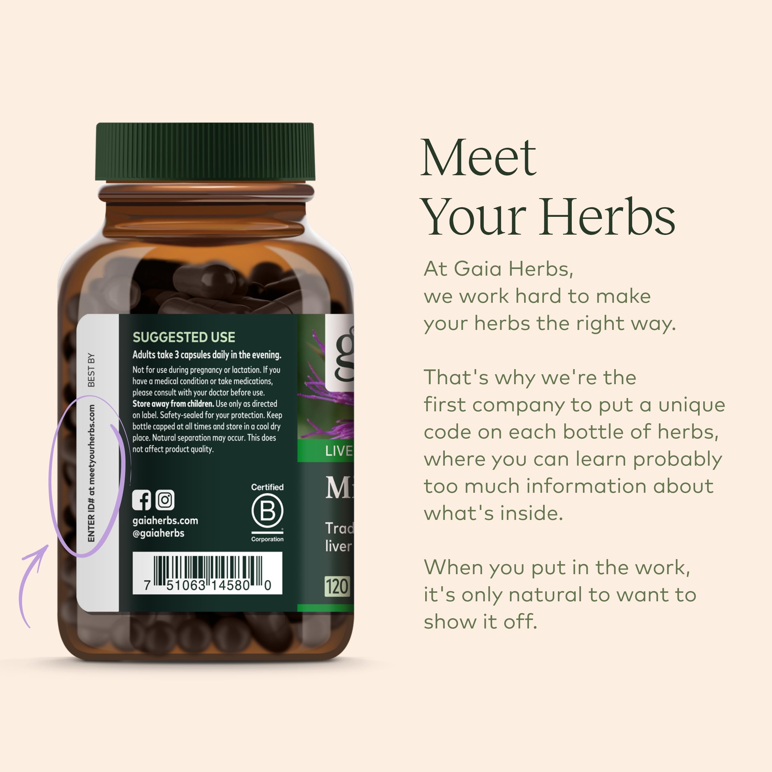 Foto 7 | Suplemento Gaia Herbs Milk Thistle Liver 120 Cápsulas Veganas - Venta Internacional.