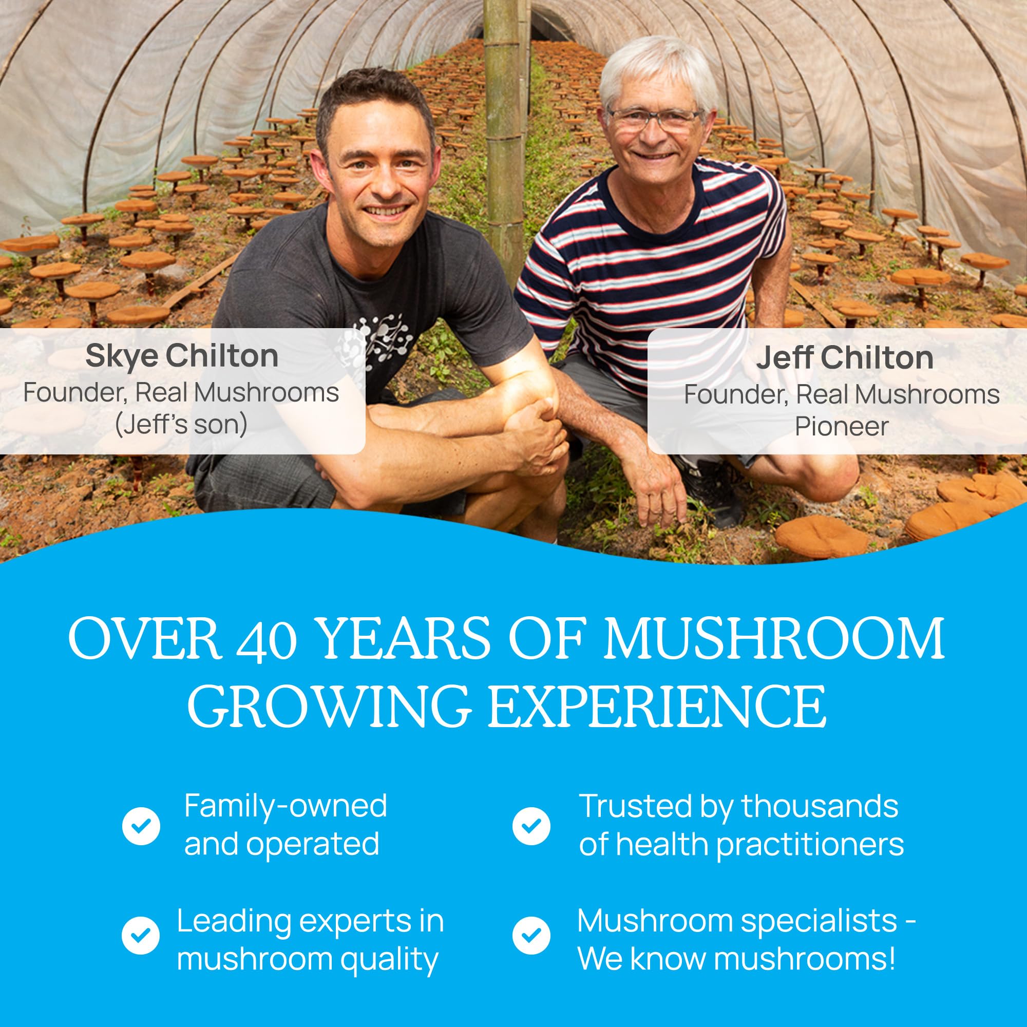 Foto 8 pulgar | Suplemento Real Mushrooms Realrest Reishi Mushroom 60 Cápsulas - Venta Internacional.