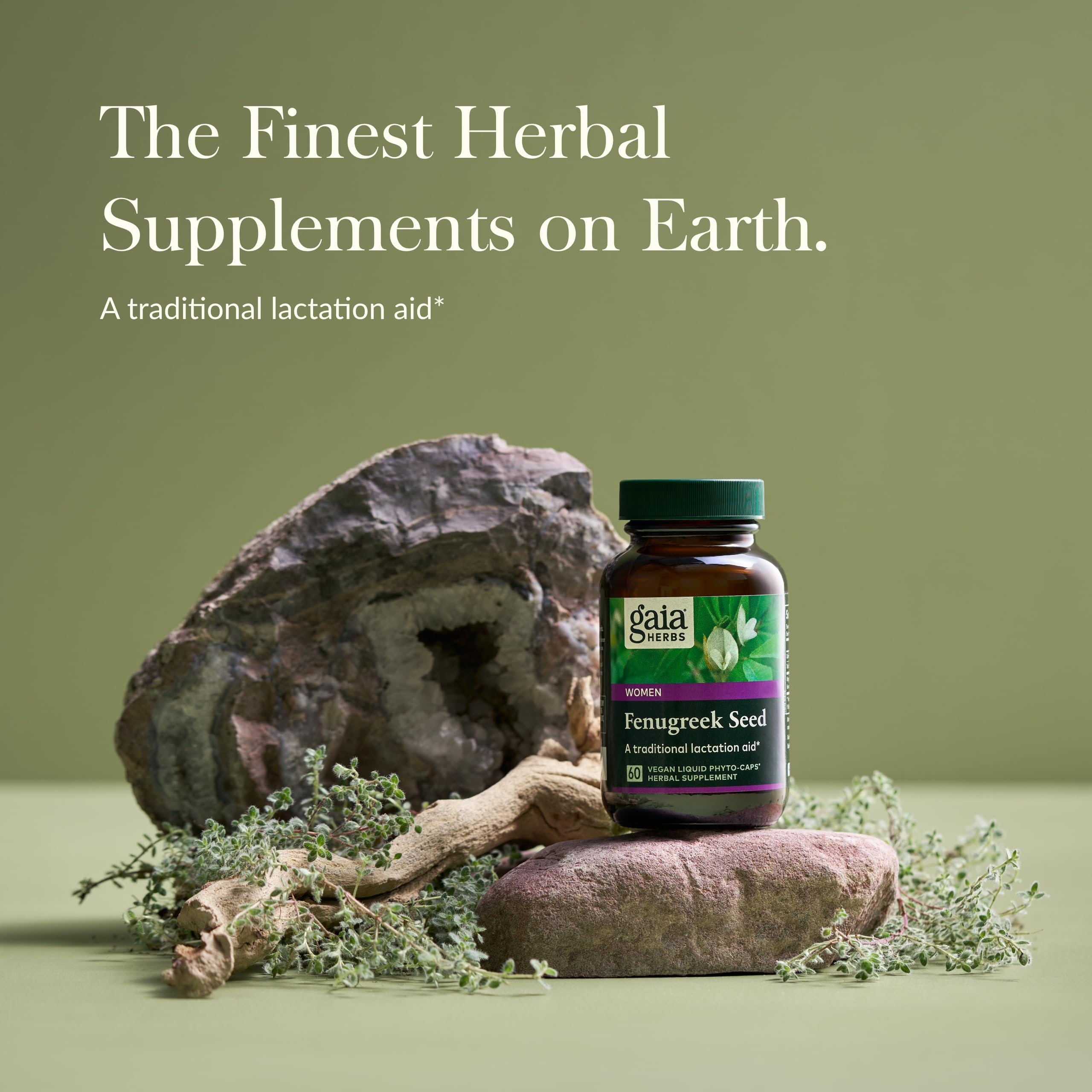 Foto 4 pulgar | Suplemento Gaia Herbs Con Semillas De Fenogreco, 60 Cápsulas Veganas - Venta Internacional.