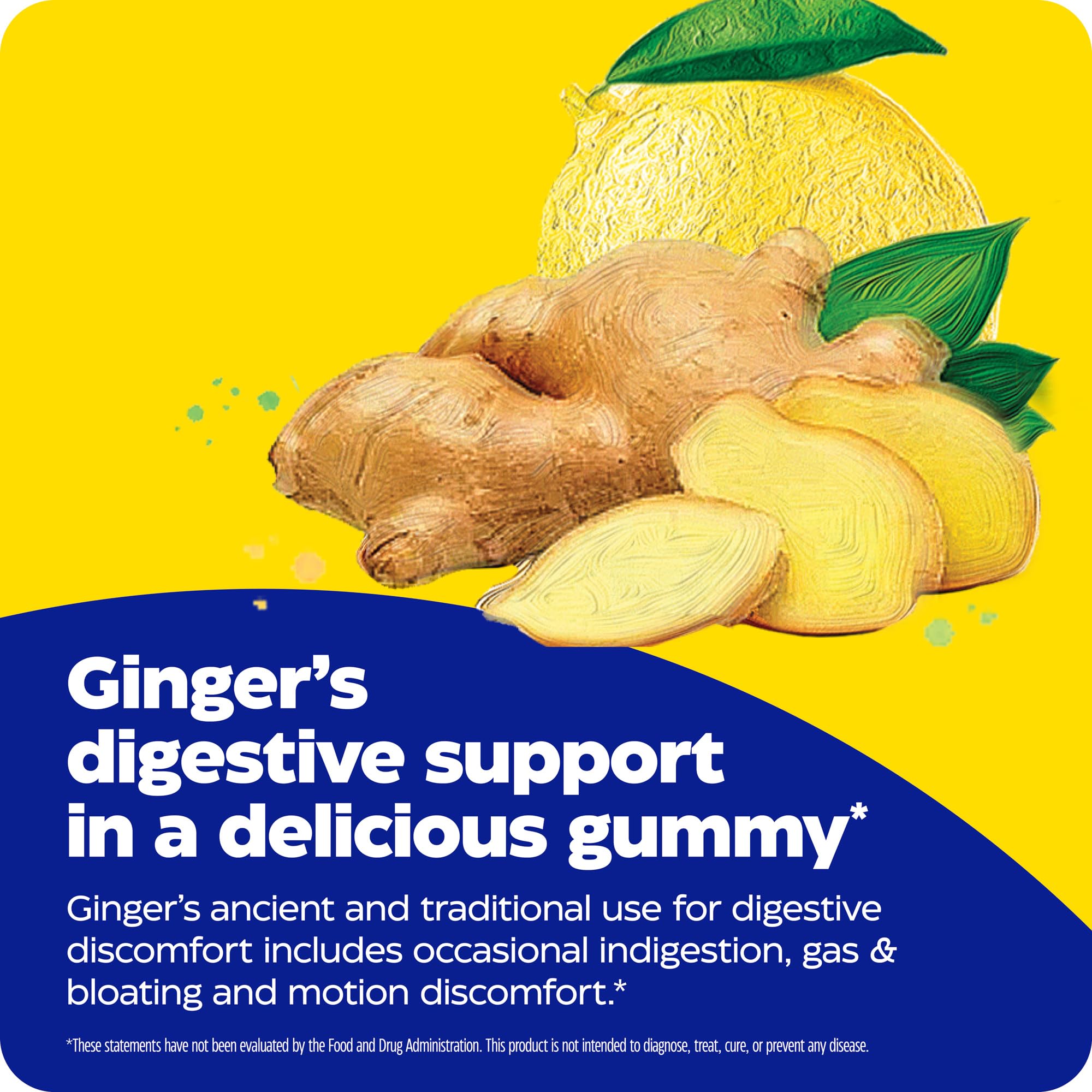 Foto 7 | Gomitas De Jengibre Y Vitamina B6 Supplement Enzymedica, 60 Unidades - Venta Internacional.
