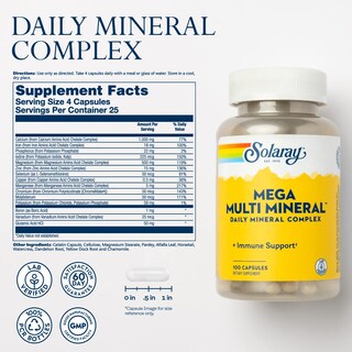 Foto 2 | Suplemento Solaray Mega Multi Mineral 100 Cápsulas - Venta Internacional.