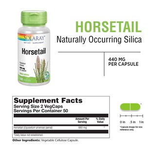 Foto 2 | Suplemento Solaray Horsetail 880 Mg Con Sílice 100 Cápsulas Vegetales - Venta Internacional.