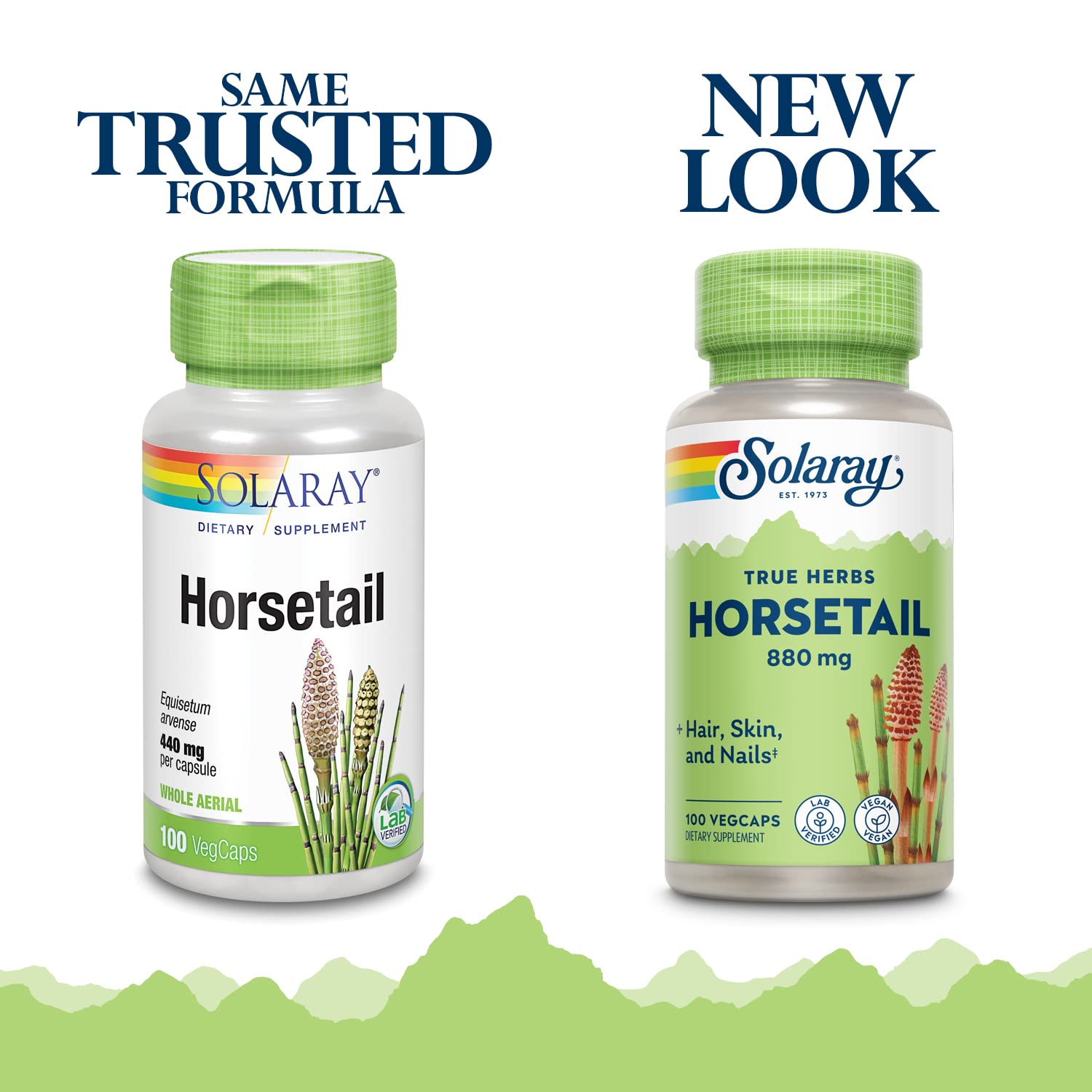 Foto 4 pulgar | Suplemento Solaray Horsetail 880 Mg Con Sílice 100 Cápsulas Vegetales - Venta Internacional.