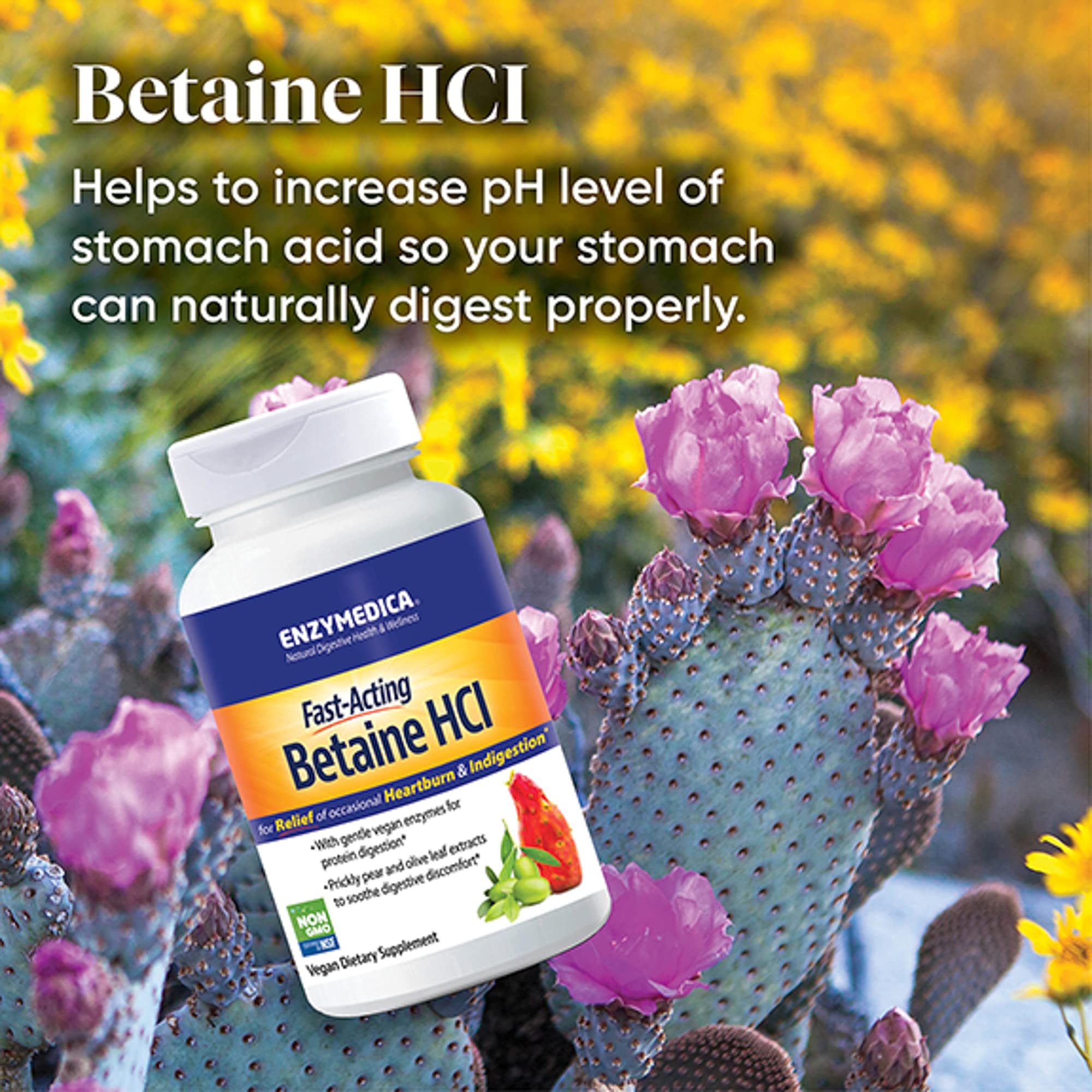 Foto 5 | Suplemento Enzymedica Betaína Hcl 120 Cápsulas - Venta Internacional.
