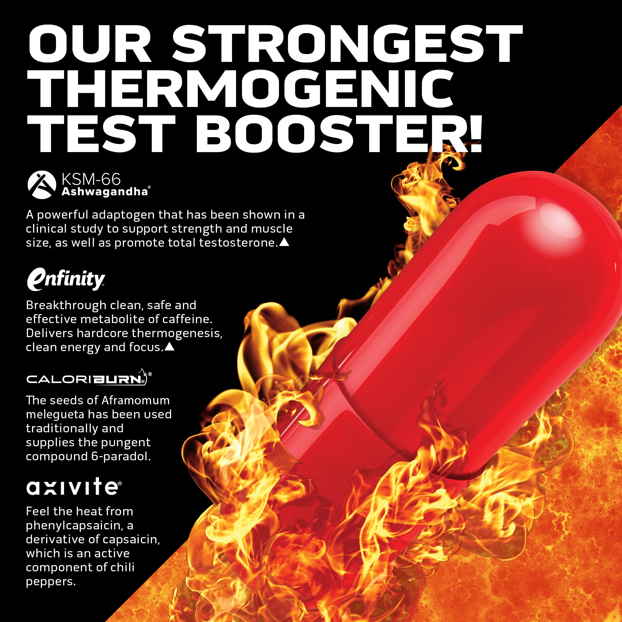 Foto 4 pulgar | Suplemento Estimulador De Testosterona Muscletech Alphatest Thermo Xtr - Venta Internacional.