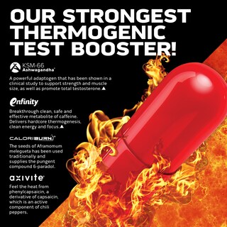 Foto 3 | Suplemento Estimulador De Testosterona Muscletech Alphatest Thermo Xtr - Venta Internacional.