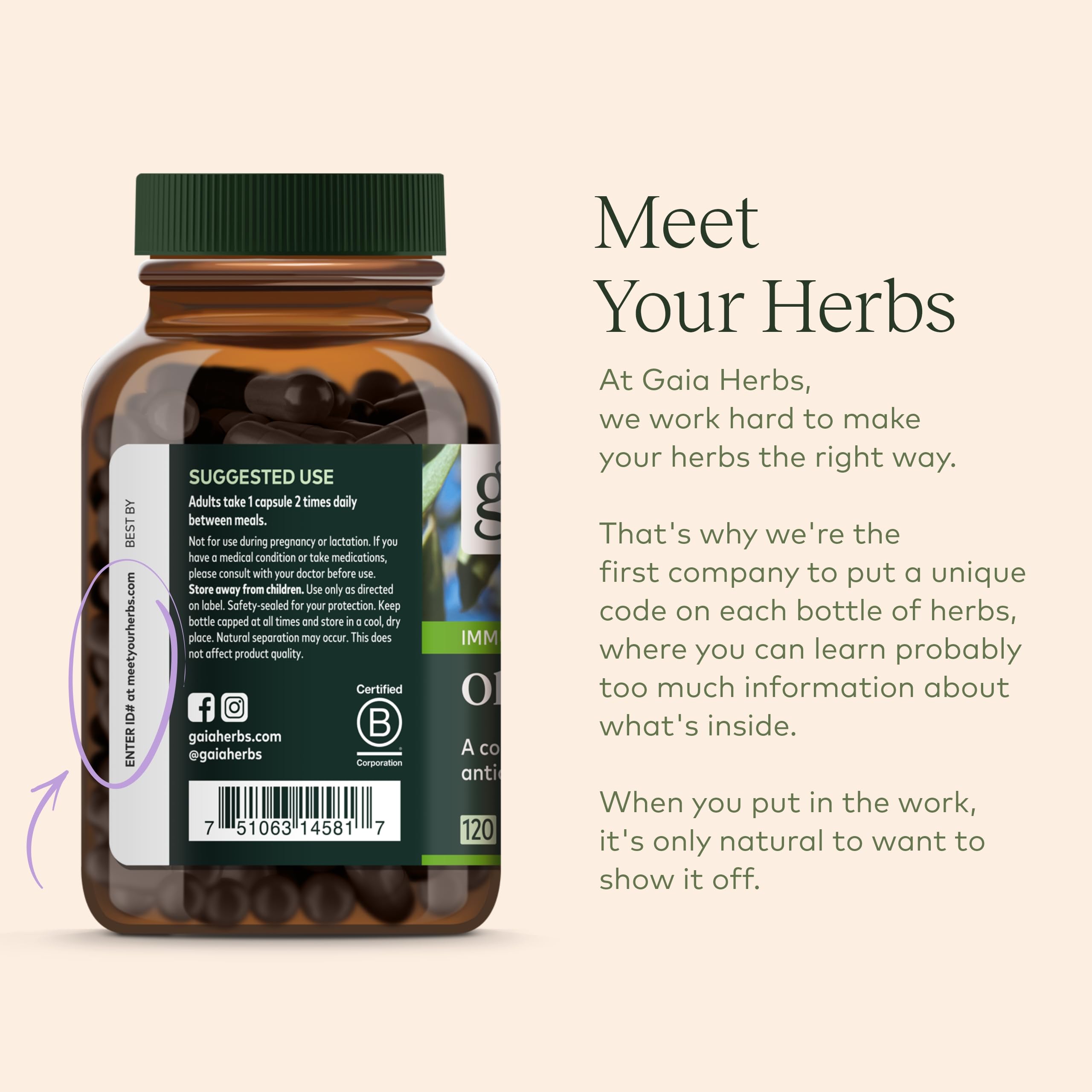 Foto 7 | Suplemento Gaia Herbs Olive Leaf, 120 Fitocápsulas Líquidas Veganas - Venta Internacional.
