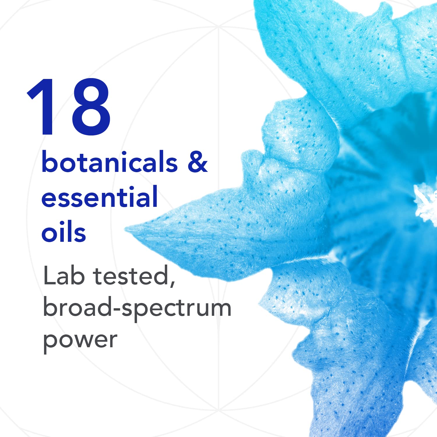 Foto 2 | Suplemento Bio-botanical Research Biocidin Gut Cleanse, 50 Ml - Venta Internacional.