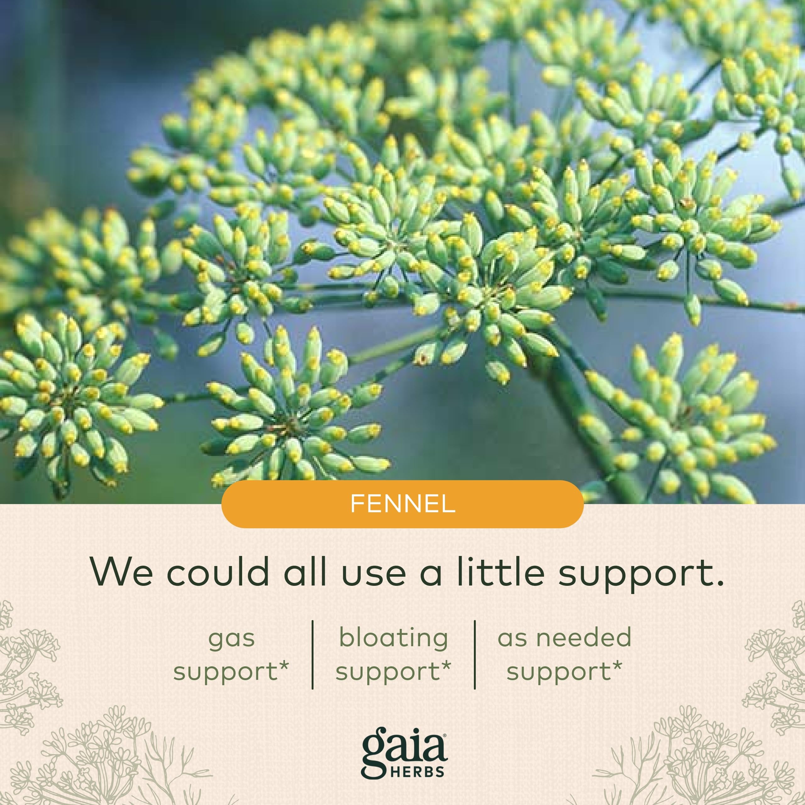 Foto 5 | Suplemento Gaia Herbs Gas & Bloating 50 Cápsulas - Venta Internacional