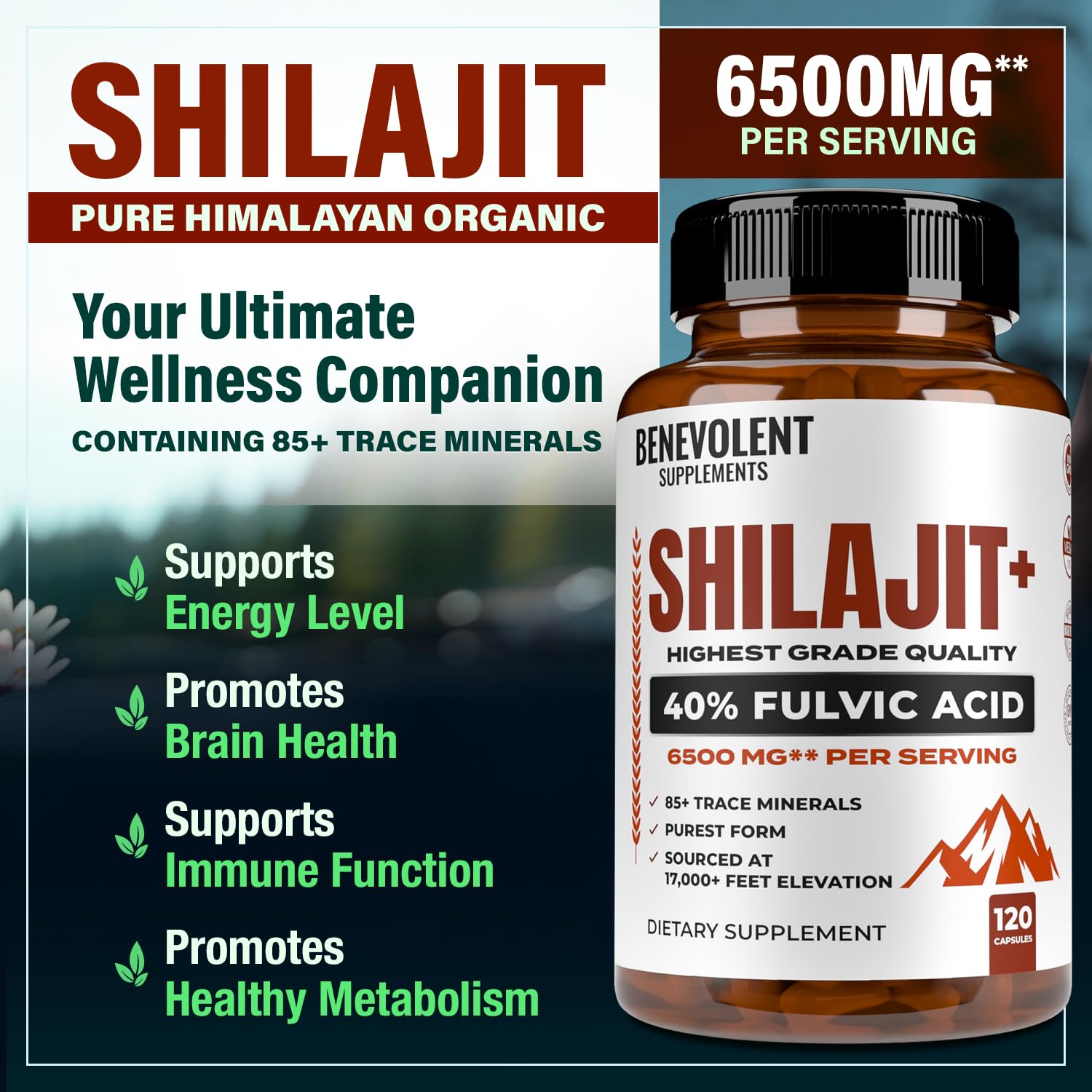 Foto 3 pulgar | Suplemento Benevolent Nourishment Shilajit 6500 Mg 120 Cápsulas - Venta Internacional.