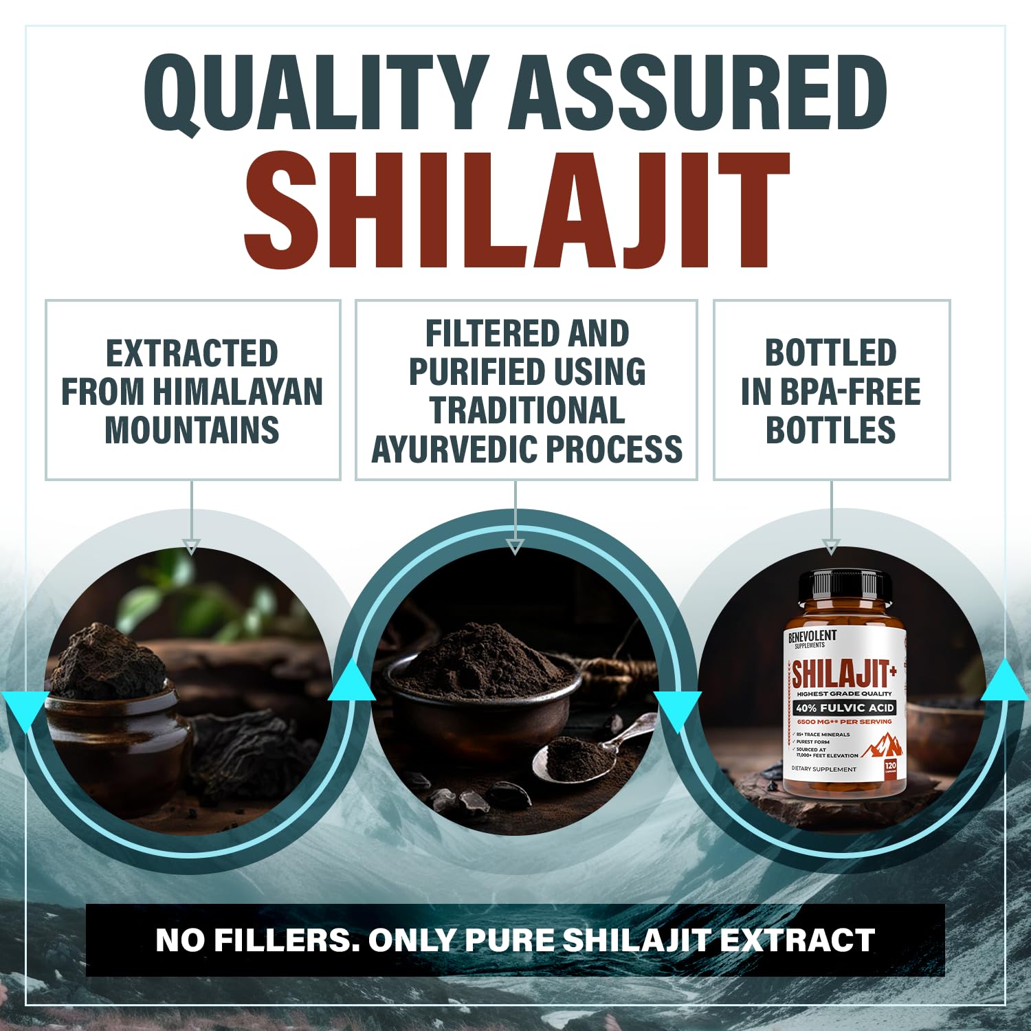 Foto 6 pulgar | Suplemento Benevolent Nourishment Shilajit 6500 Mg 120 Cápsulas - Venta Internacional.