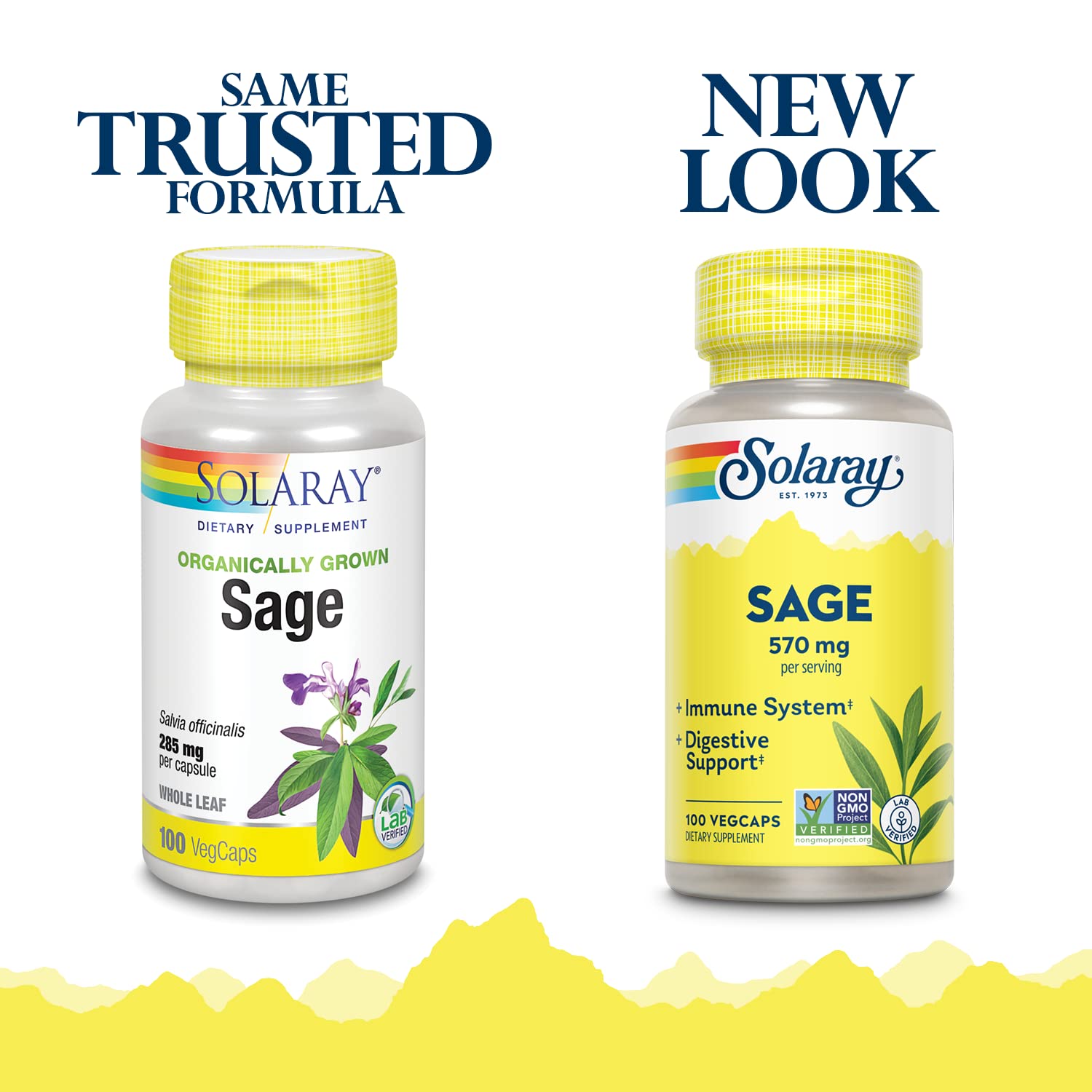 Foto 3 pulgar | Suplemento Solaray: Hoja De Salvia 570 Mg, 100 Cápsulas Vegetales - Venta Internacional.