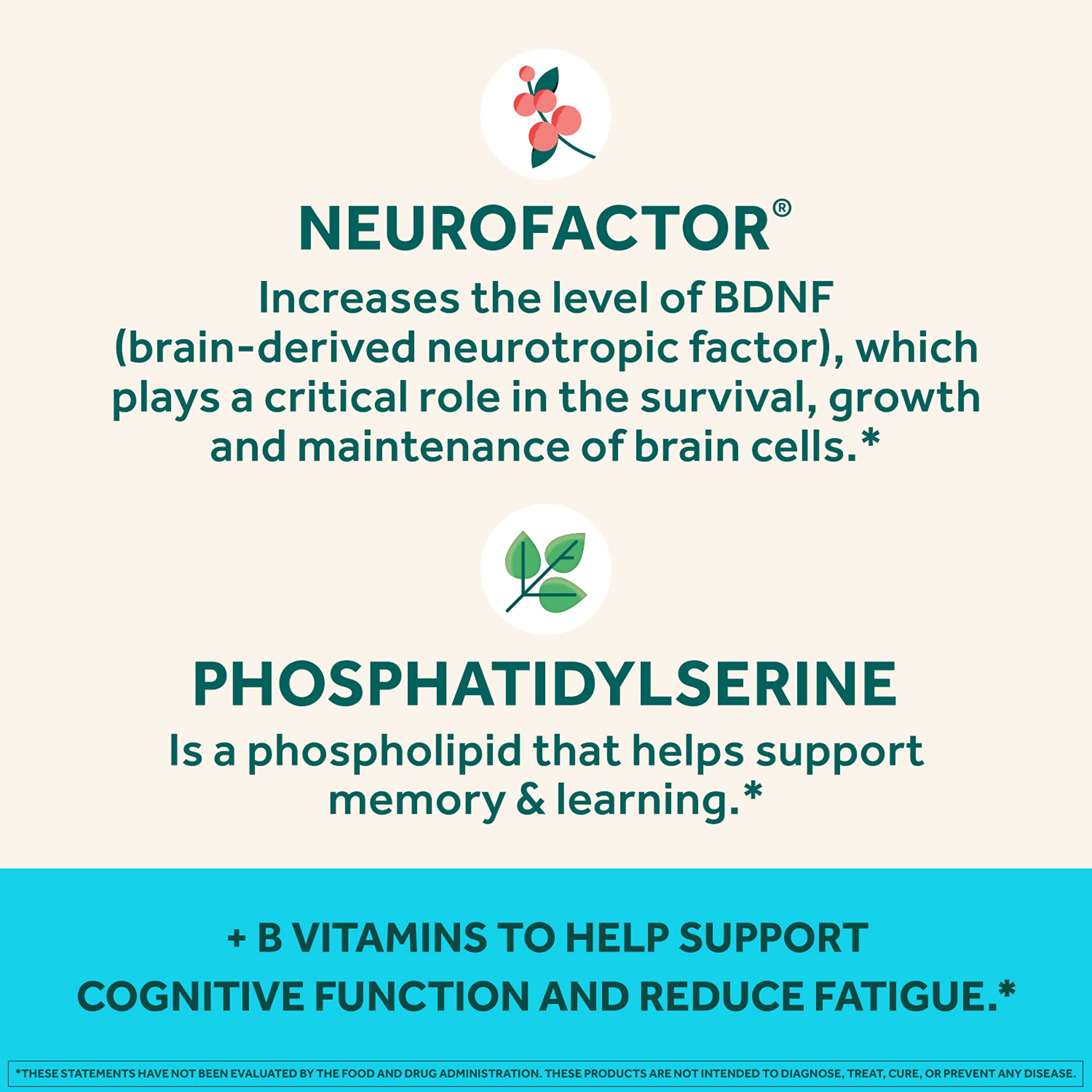 Foto 5 pulgar | Suplemento Cerebral Neuriva Plus Memory Focus Concentration, 50 Unidades - Venta Internacional.