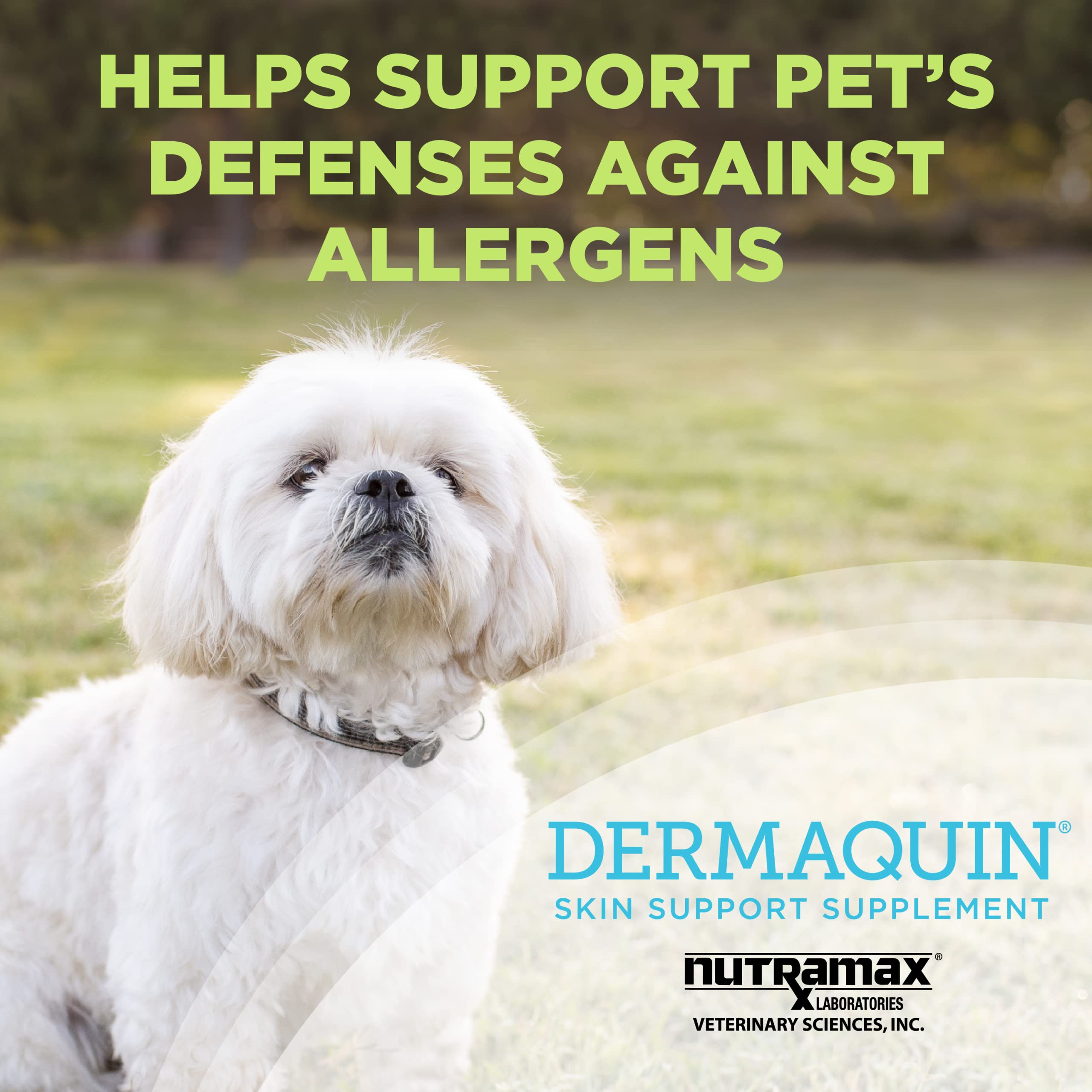 Foto 2 | Suplemento Nutramax Dermaquin Skin Support Para Perros Y Gatos - Venta Internacional.