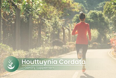 Foto 5 | Suplementos Dietéticos Ingredientes Puros Originales Houttuynia Cordata - Venta Internacional.