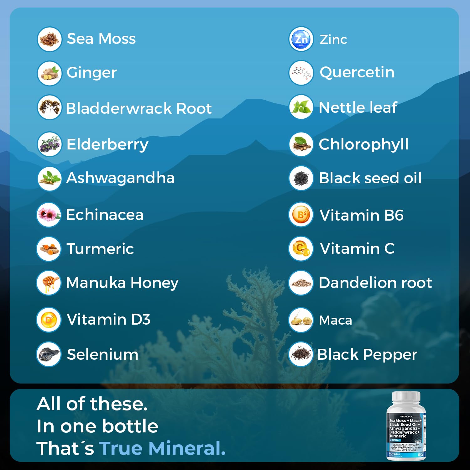 Foto 3 | Suplemento Vitamax True-mineral Sea Moss 3000 Mg Maca 1000 Mg - Venta Internacional.
