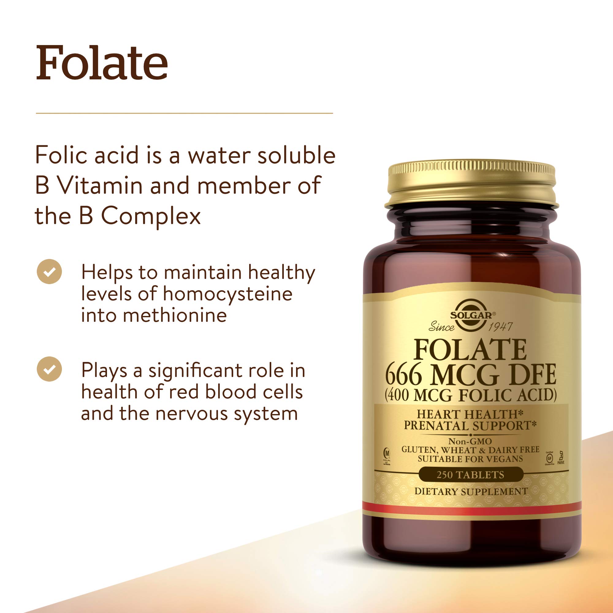 Foto 3 | Suplemento De Folato Solgar 666 Mcg Dfe (400 Mcg De Ácido Fólico) X500 - Venta Internacional.