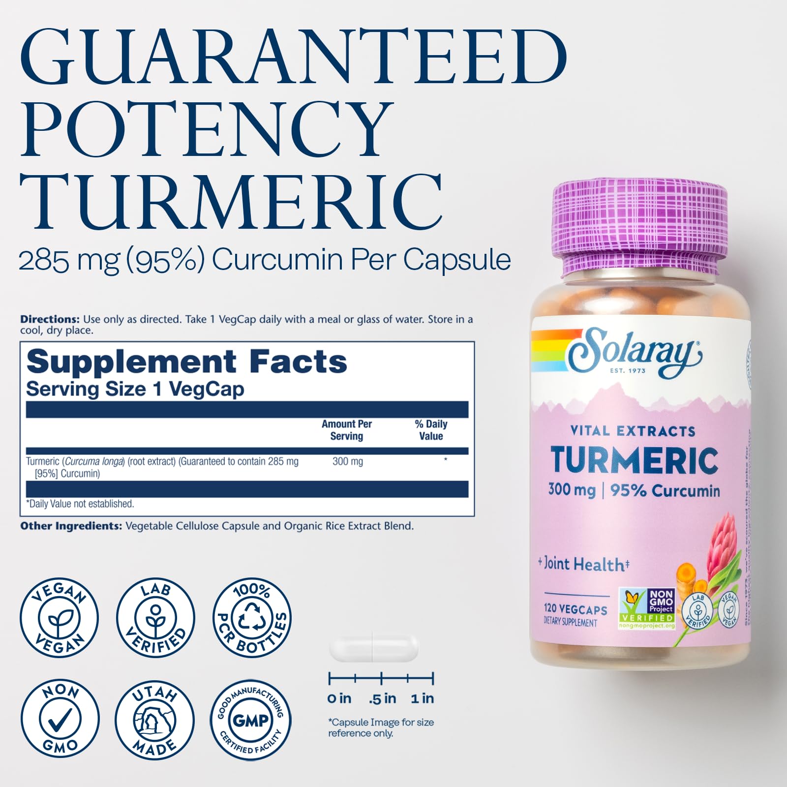 Foto 4 pulgar | Suplemento Solaray De Cúrcuma 300 Mg Con 95% De Curcumina 120 Cápsulas - Venta Internacional.