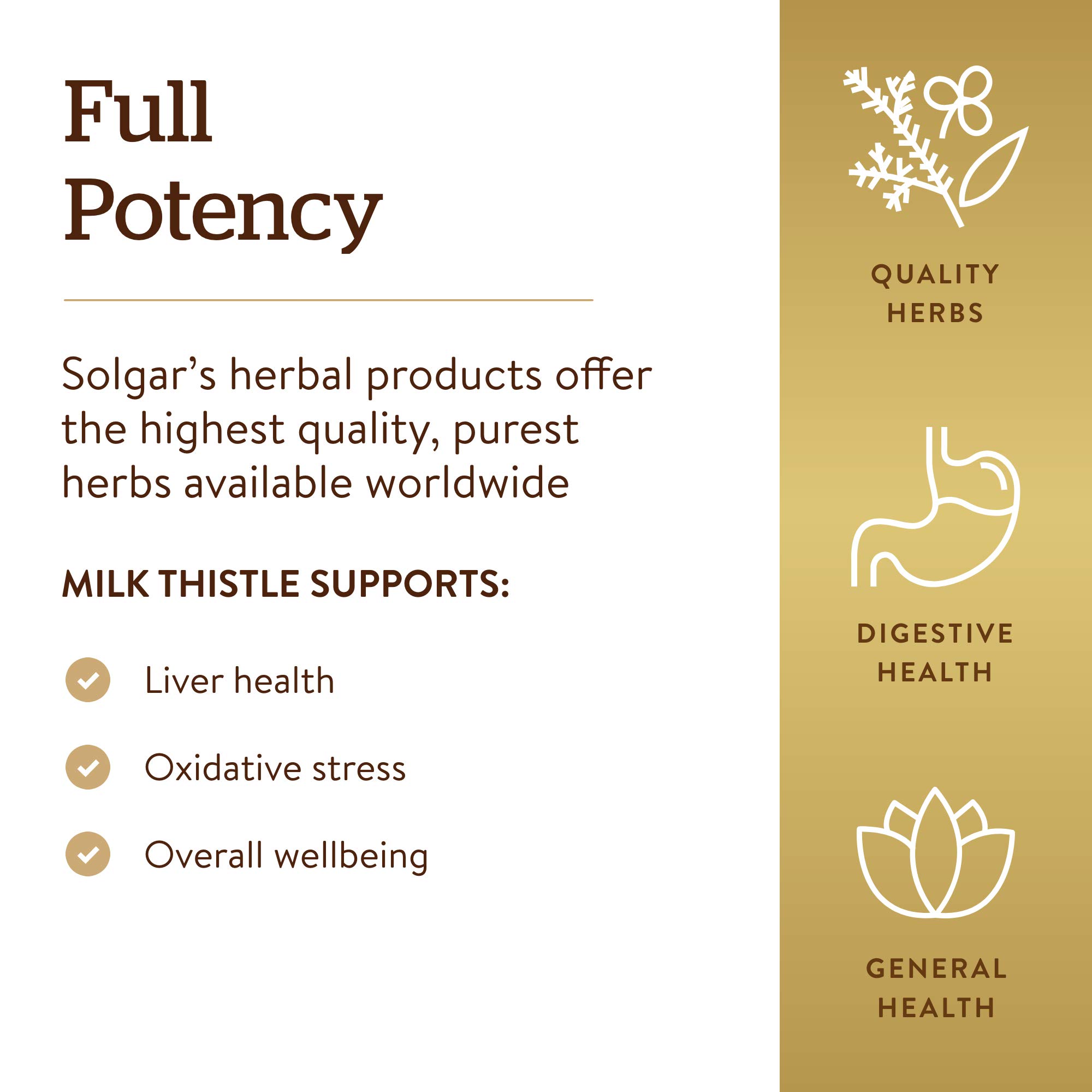 Foto 5 pulgar | Suplemento Solgar Milk Thistle (silybum Marianum) 100 Mg 250 Cápsulas - Venta Internacional.