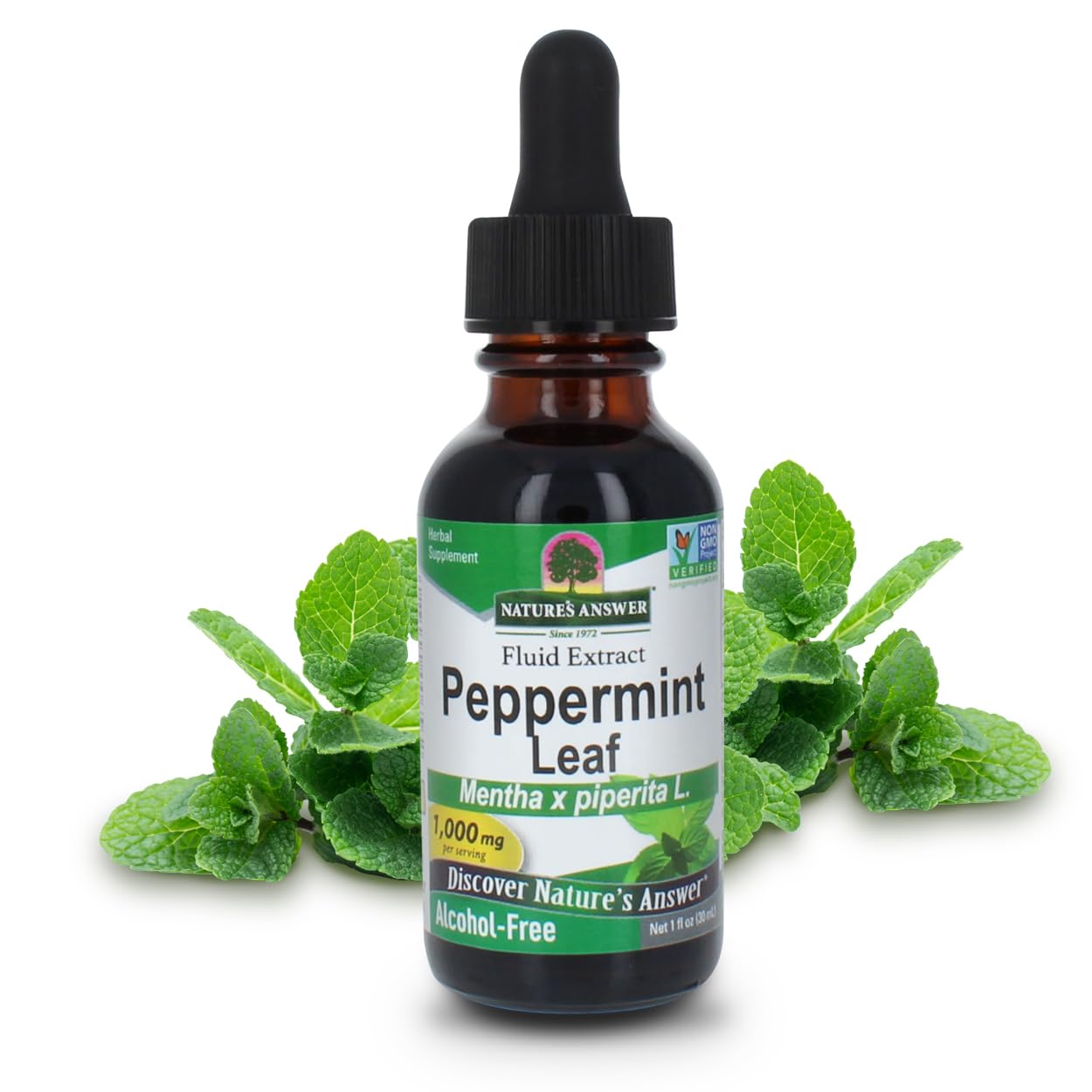 Foto 2 pulgar | Suplemento Herbal Nature's Answer Peppermint Leaf 30 Ml - Venta Internacional.