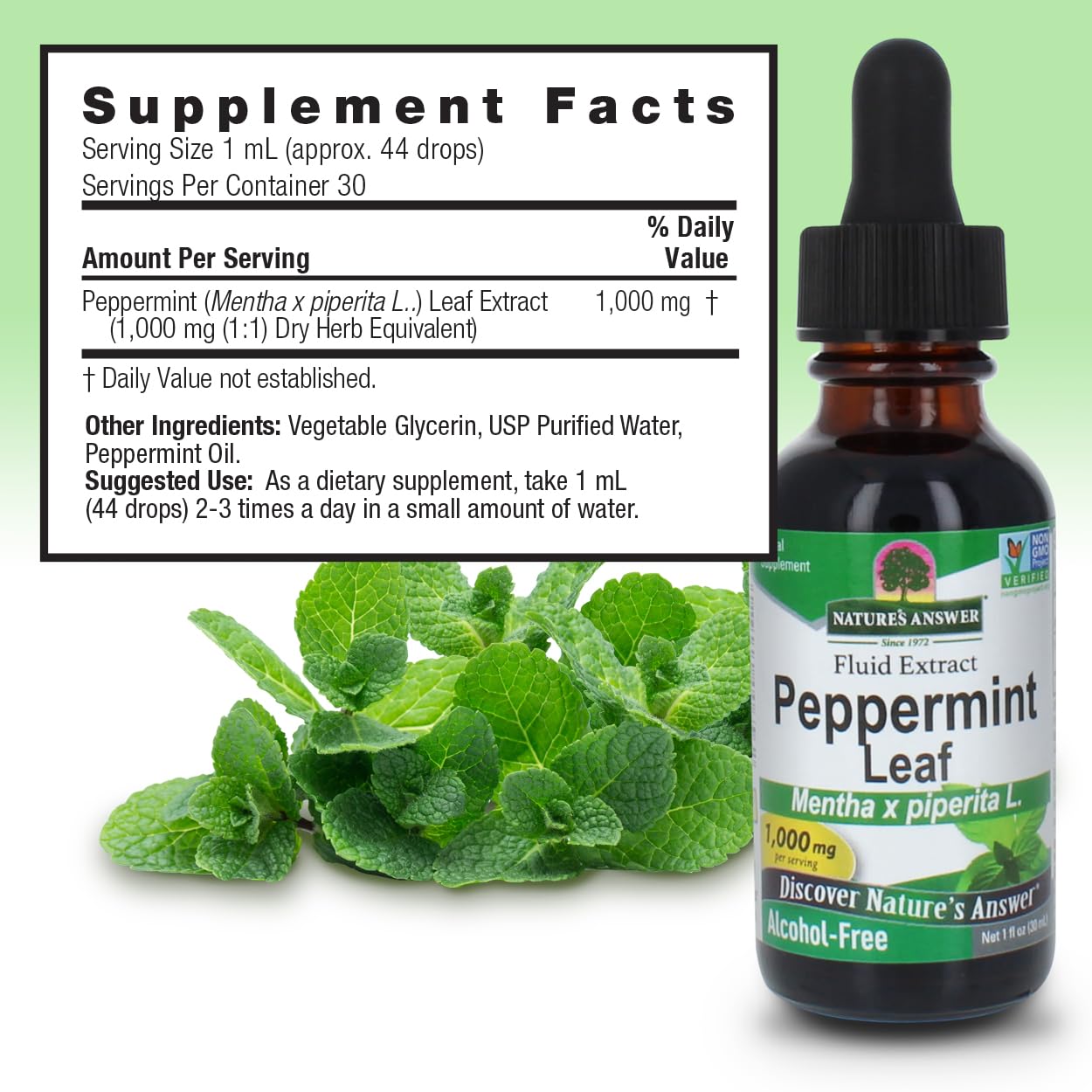 Foto 4 pulgar | Suplemento Herbal Nature's Answer Peppermint Leaf 30 Ml - Venta Internacional.