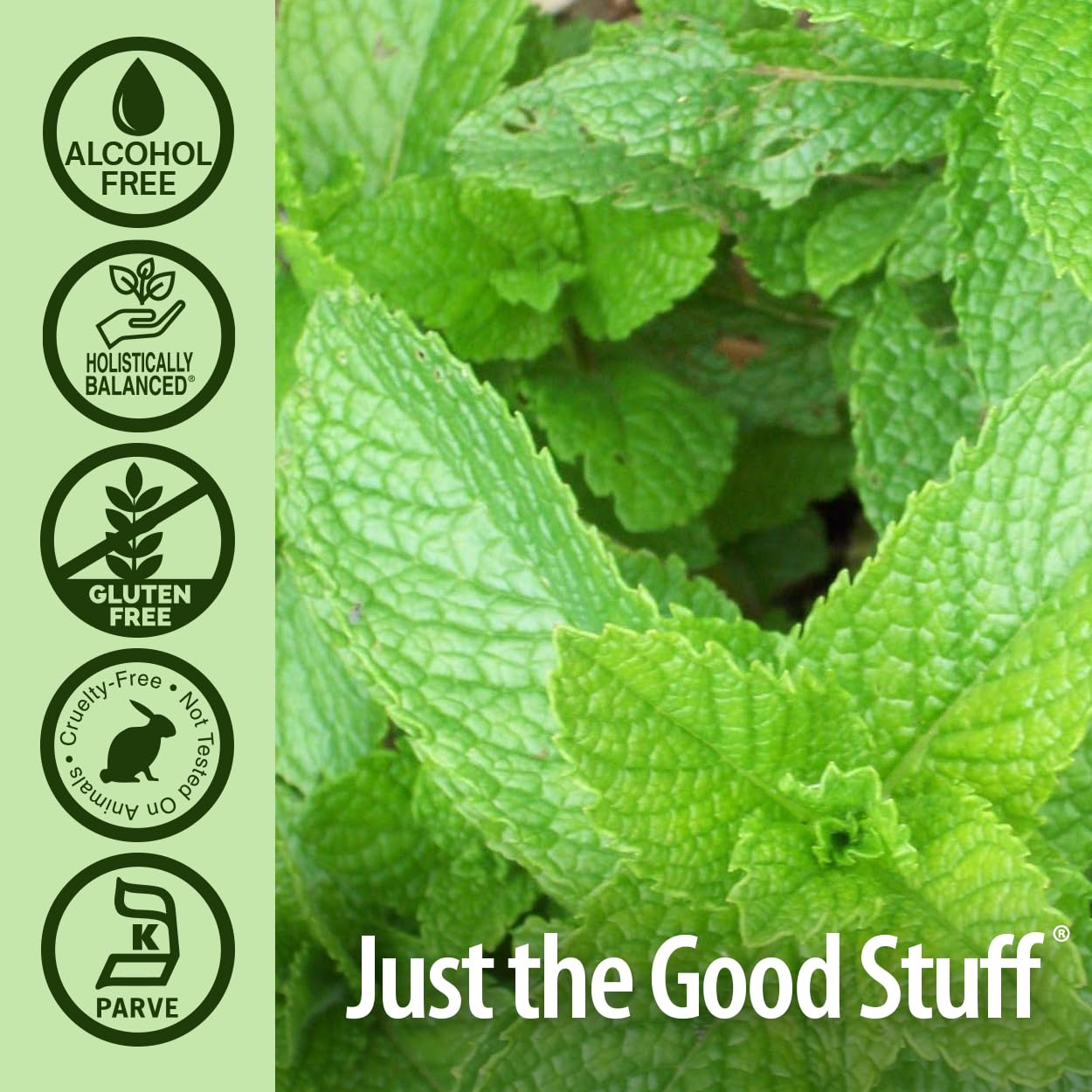 Foto 6 pulgar | Suplemento Herbal Nature's Answer Peppermint Leaf 30 Ml - Venta Internacional.