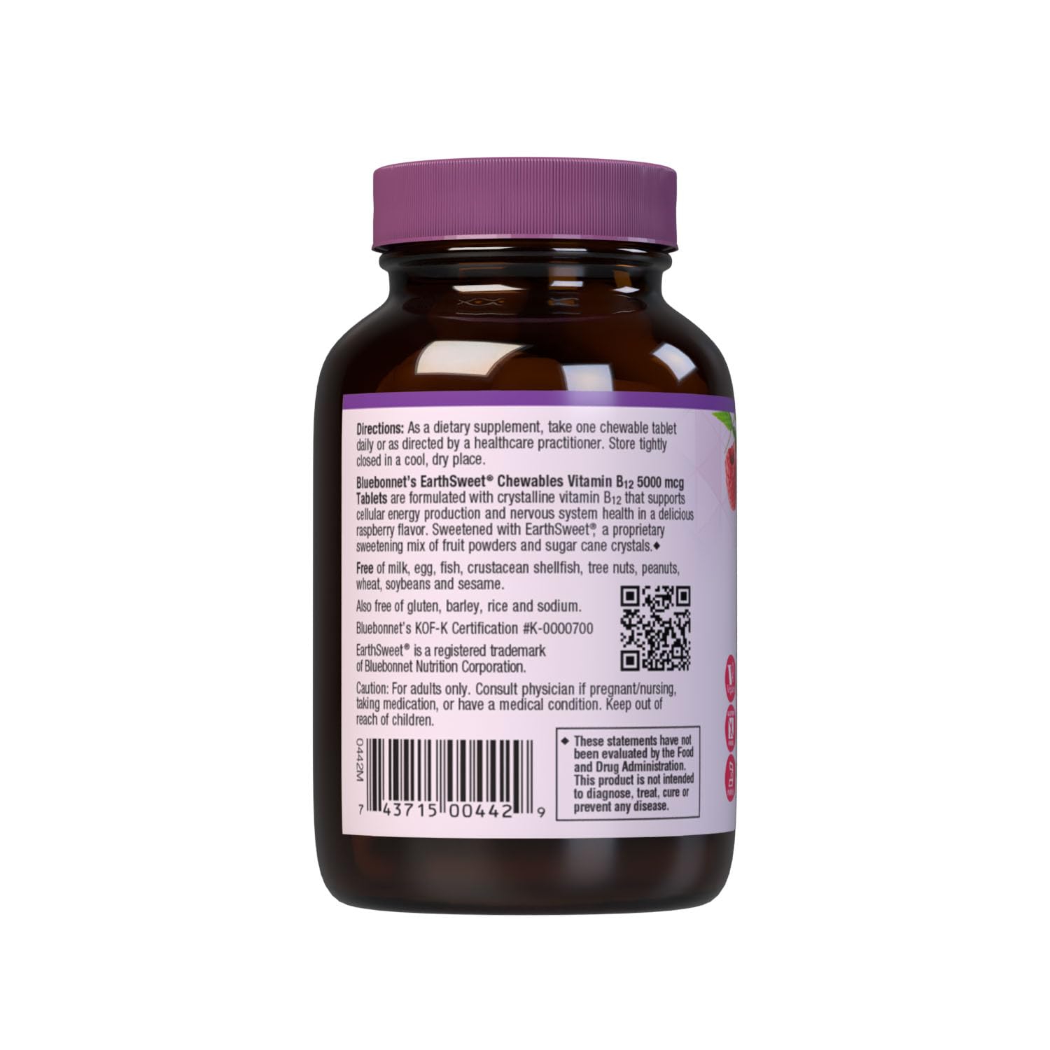 Foto 3 | Suplemento Bluebonnet Nutrition Earth Sweet Vitamina B12 5000 Mcg - Venta Internacional.