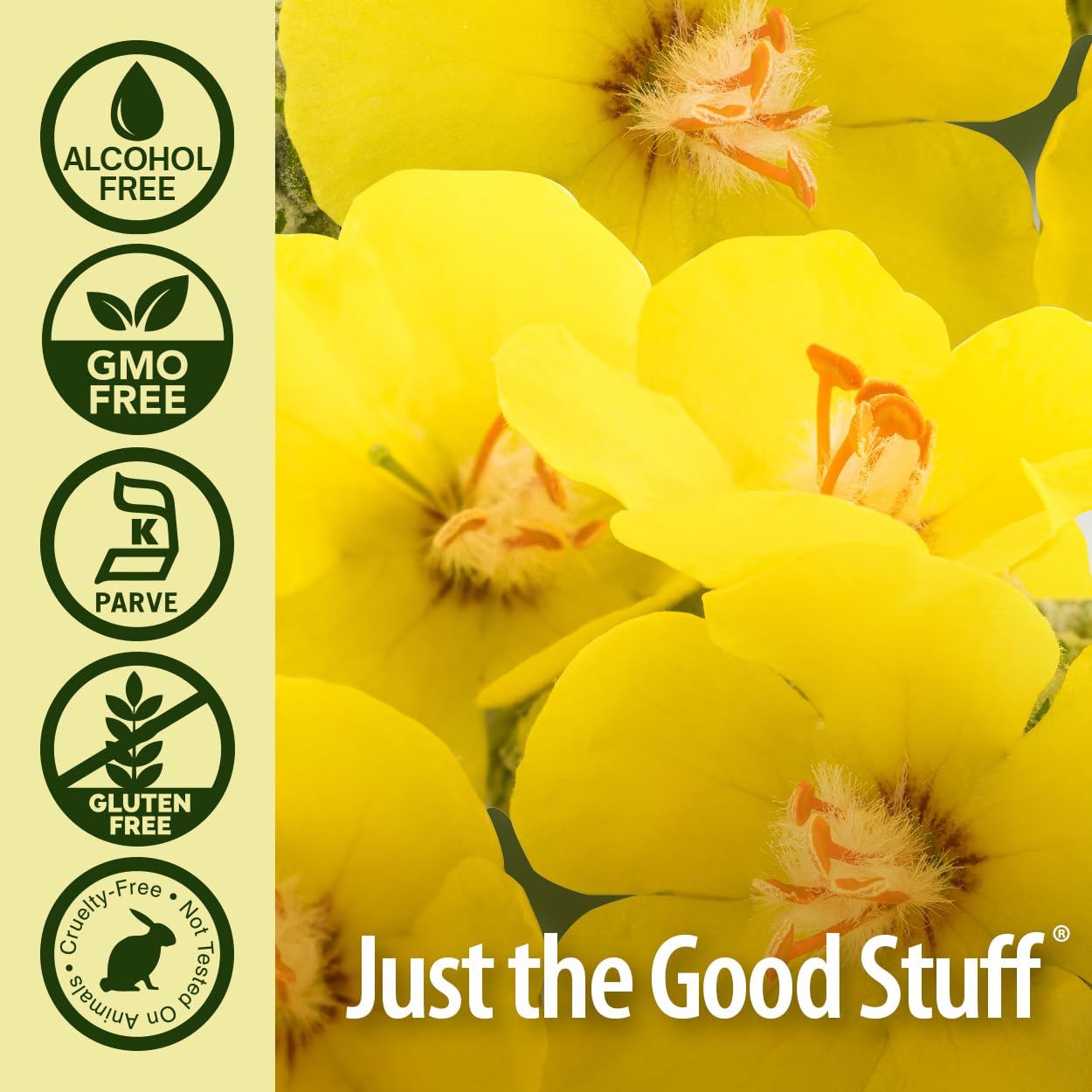 Foto 6 pulgar | Suplemento Nature's Answer Mullein Drops, 30 Ml, Sin Alcohol - Venta Internacional.