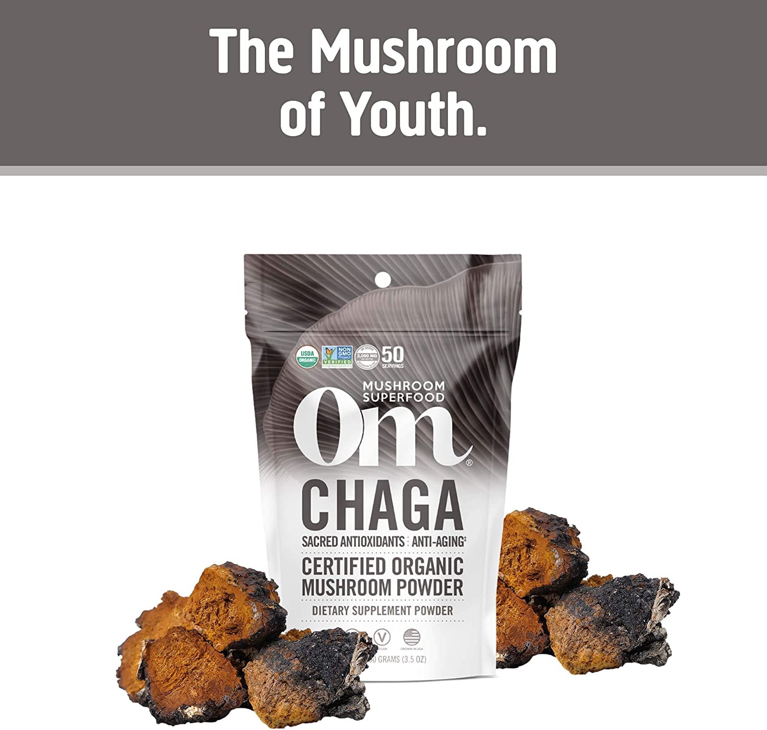 Foto 2 | Suplemento Om Mushroom Superfood Chaga En Polvo 100 G - Venta Internacional.