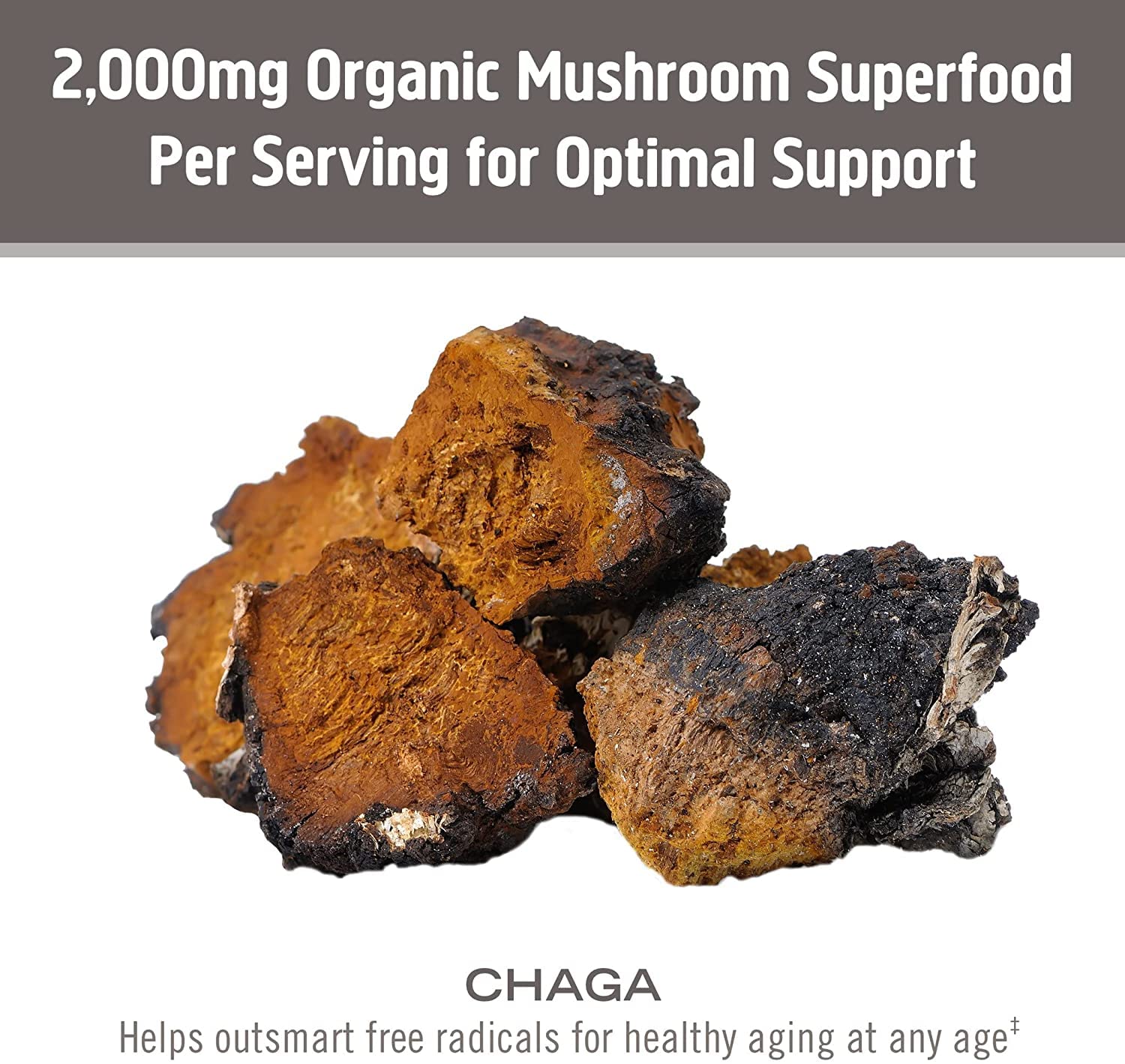 Foto 5 | Suplemento Om Mushroom Superfood Chaga En Polvo 100 G - Venta Internacional.