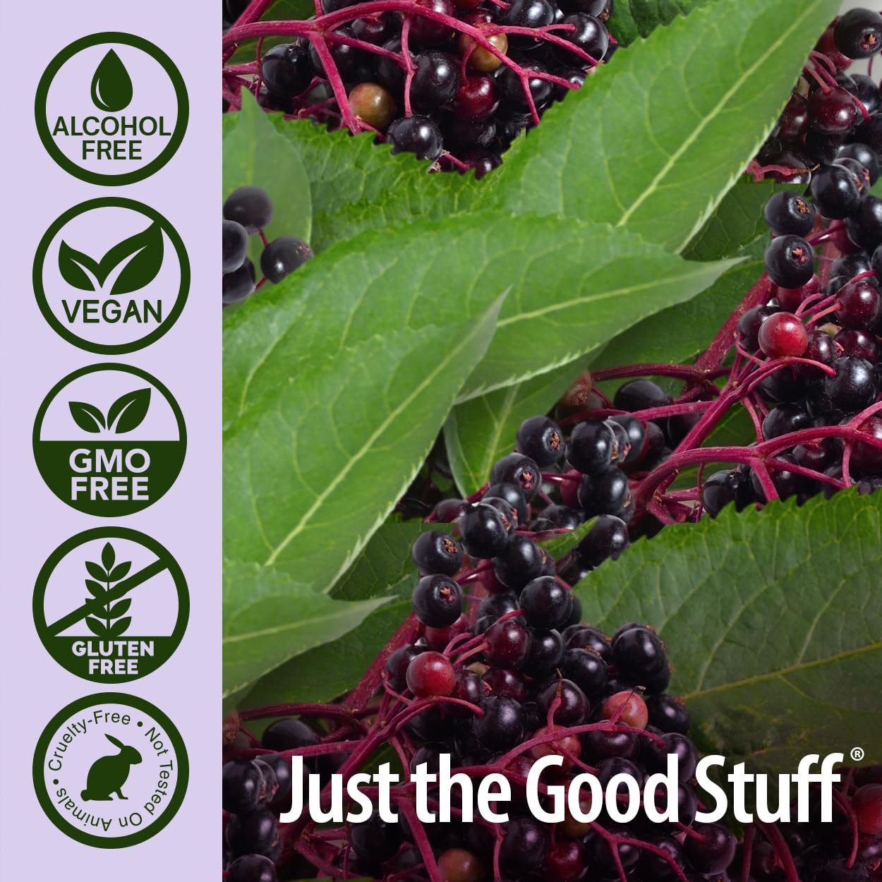Foto 5 | Nature's Answer Kids Sambucus Chewables Black Elderberry With Vitamin C And Zinc - Venta Internacional