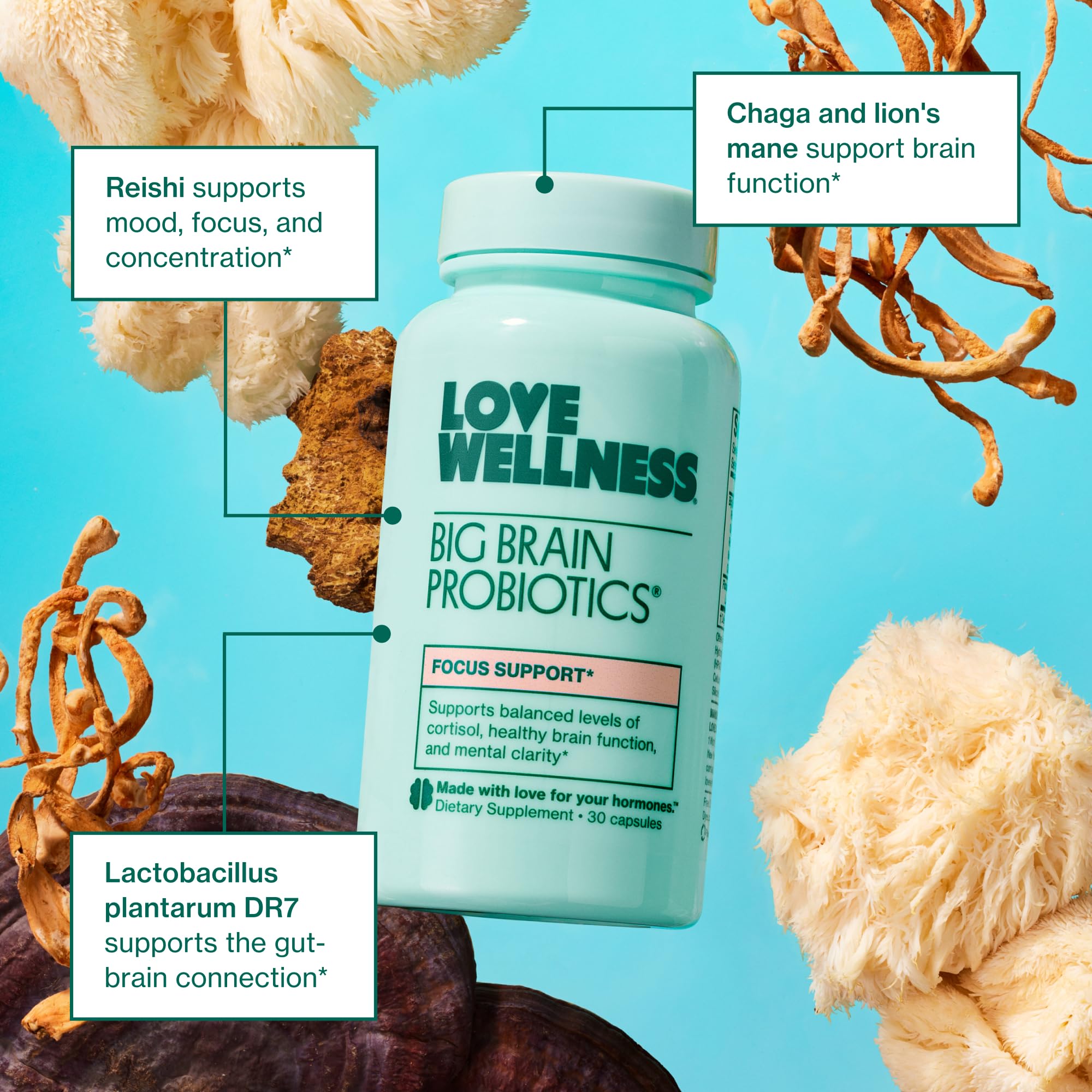 Foto 5 pulgar | Suplemento Love Wellness Big Brain Probiotics 30 Cápsulas - Venta Internacional.