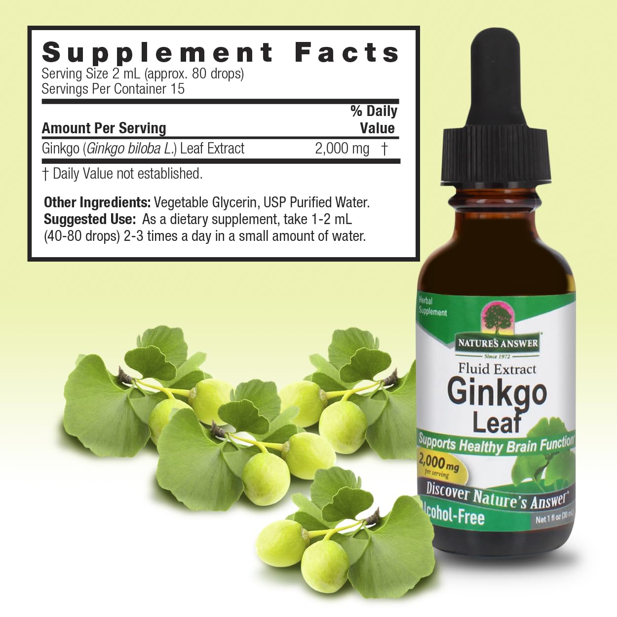 Foto 4 pulgar | Suplemento De Extracto De Ginkgo Biloba De Nature's Answer, 30 Ml - Venta Internacional.