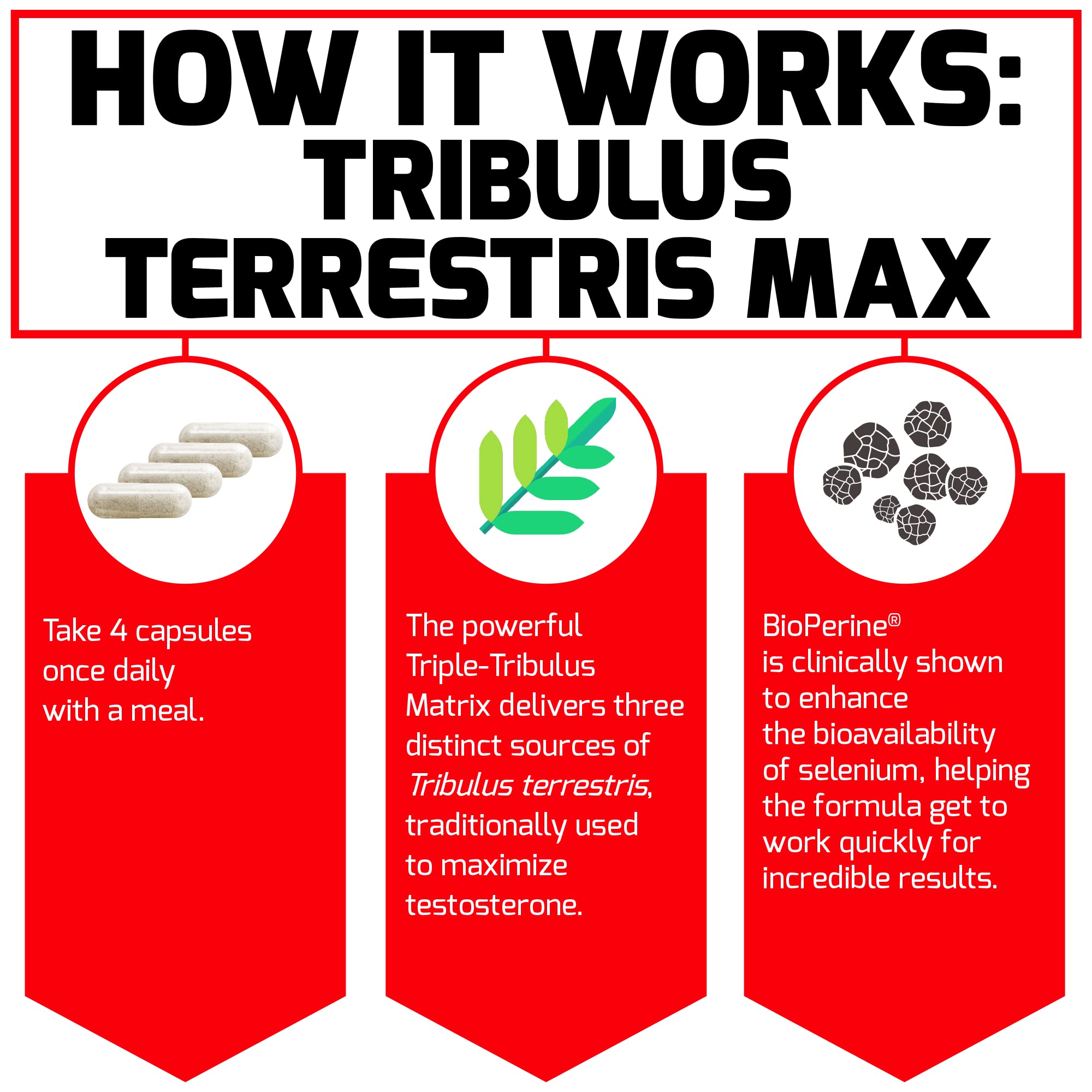 Foto 4 pulgar | Suplemento Force Factor Tribulus Terrestris Max 2000 Mg - Venta Internacional